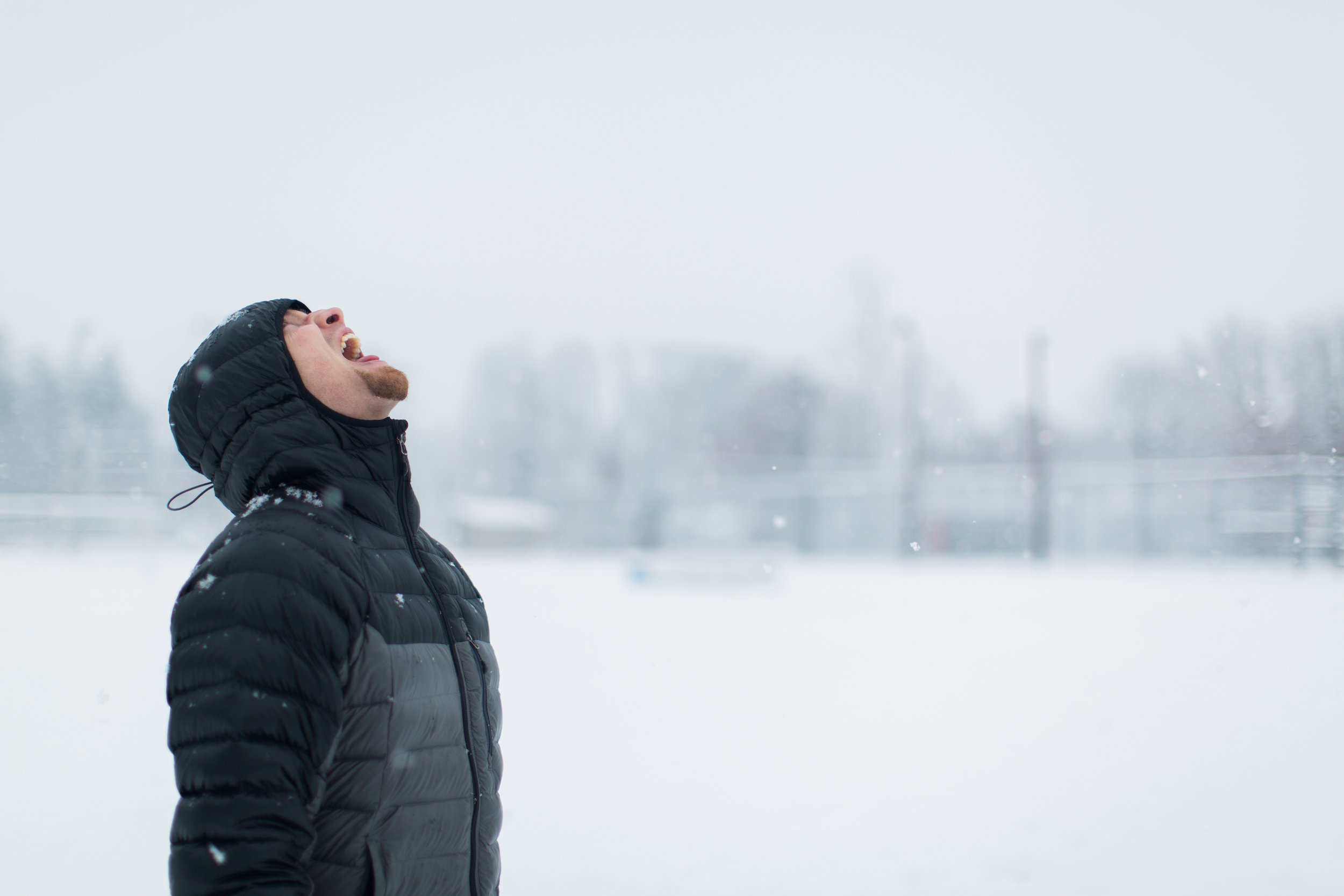 CindyGiovagnoli_New_Hampshire_New_England_snow_winter-009.jpg