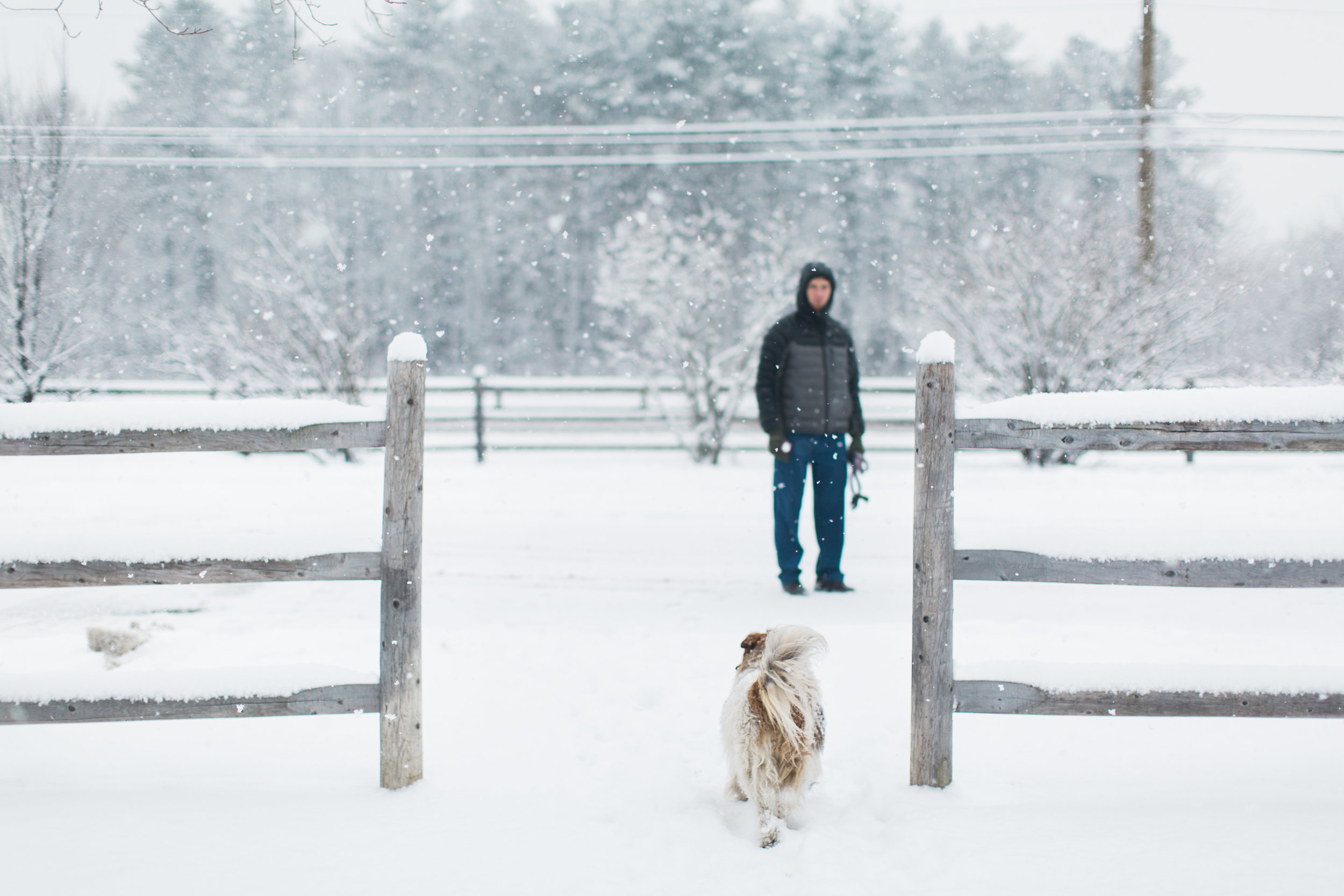CindyGiovagnoli_New_Hampshire_New_England_snow_winter-011.jpg