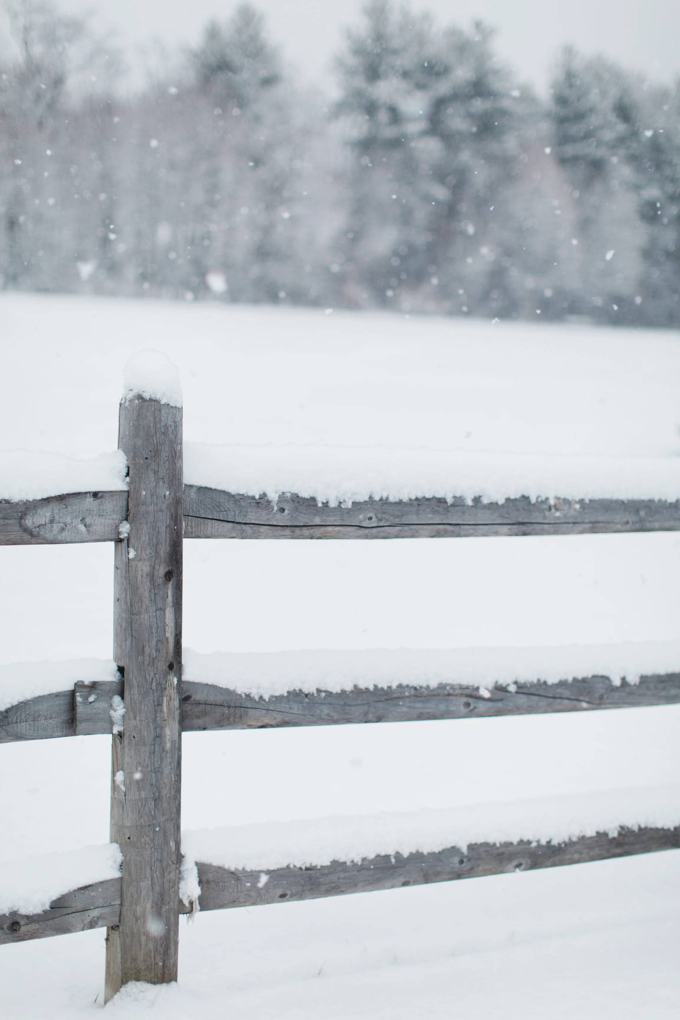 CindyGiovagnoli_New_Hampshire_New_England_snow_winter-012.jpg