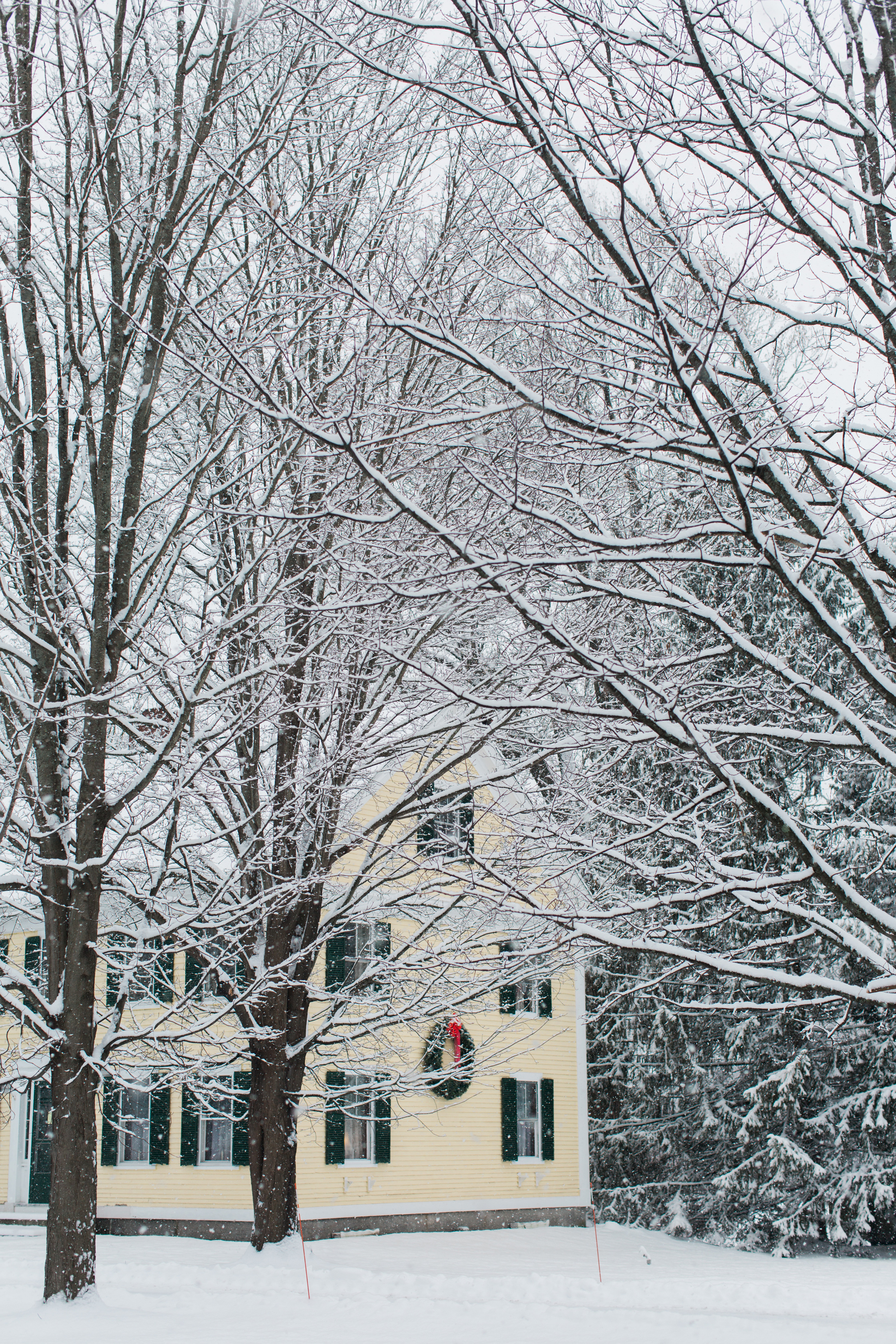 CindyGiovagnoli_New_Hampshire_New_England_snow_winter-013.jpg