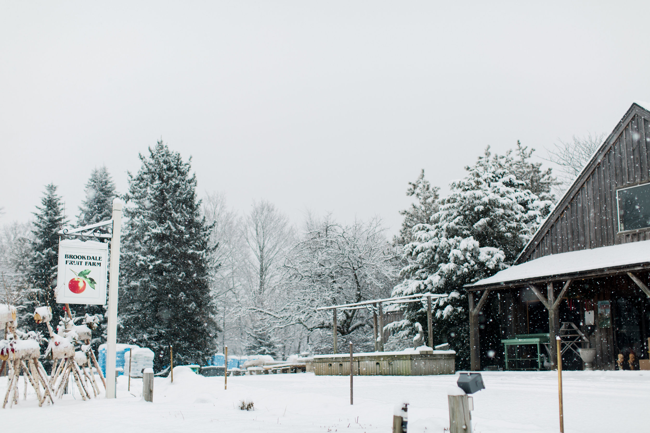 CindyGiovagnoli_New_Hampshire_New_England_snow_winter-016.jpg