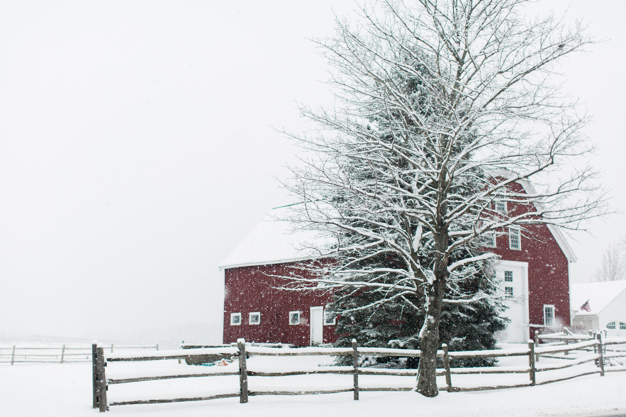 CindyGiovagnoli_New_Hampshire_New_England_snow_winter-019.jpg