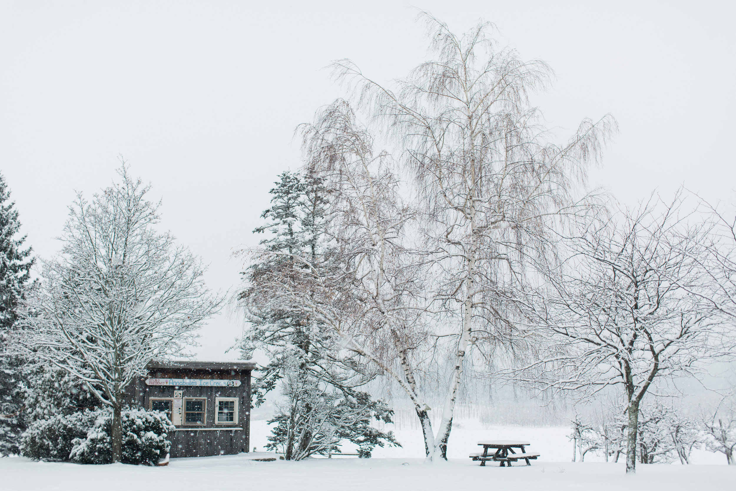 CindyGiovagnoli_New_Hampshire_New_England_snow_winter-020.jpg