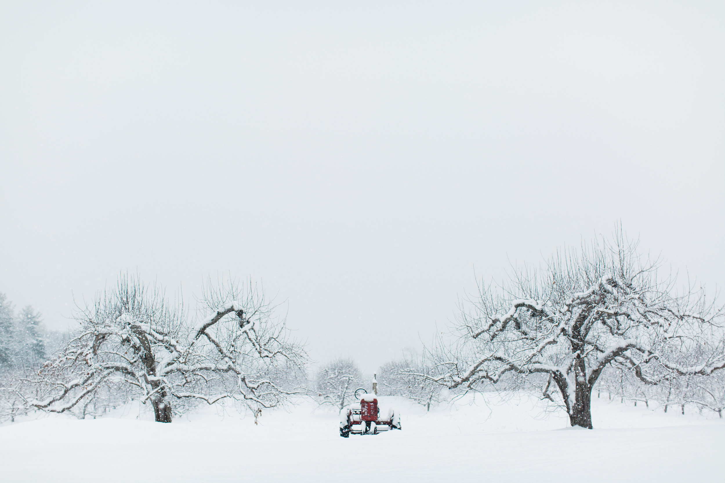 CindyGiovagnoli_New_Hampshire_New_England_snow_winter-021.jpg