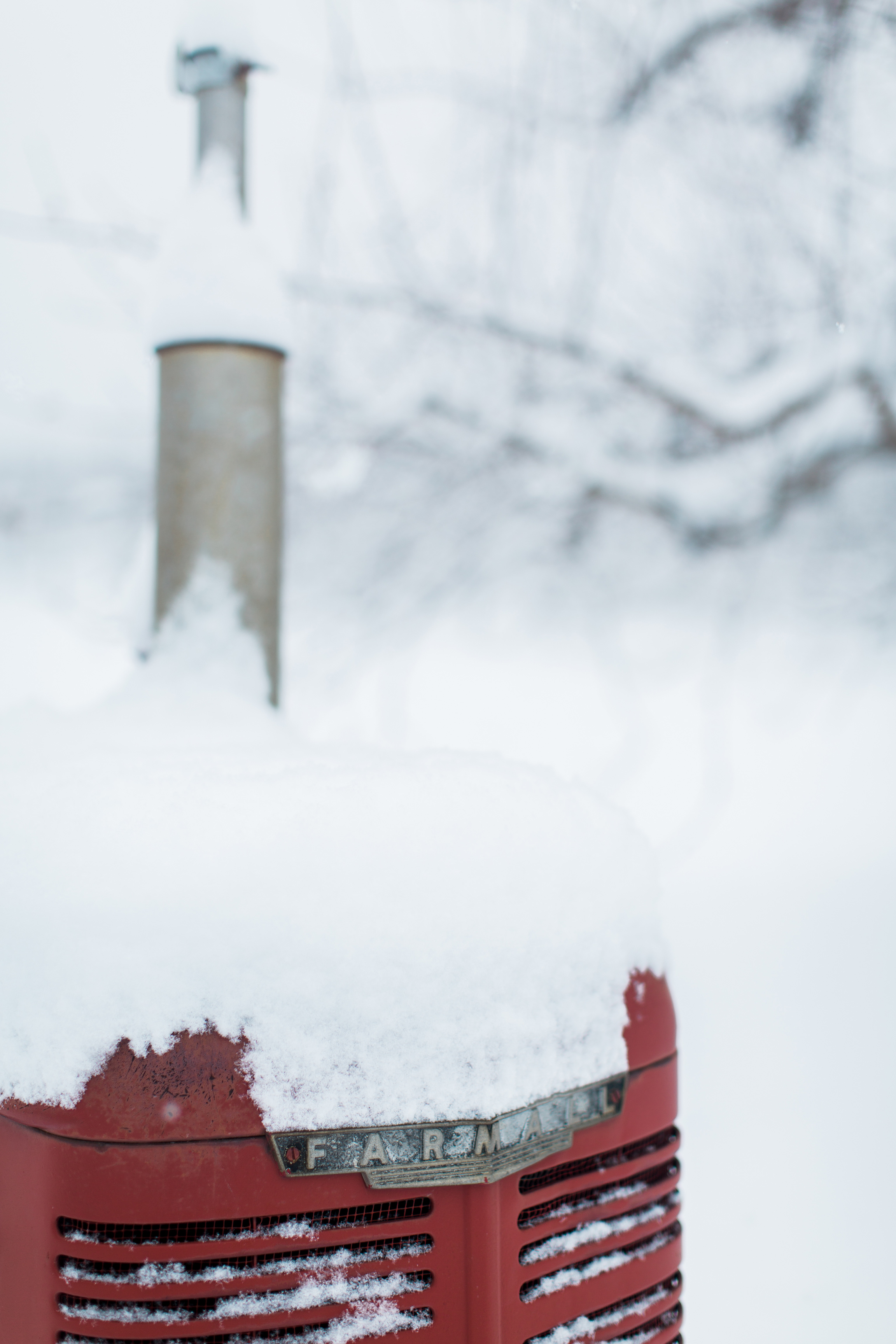 CindyGiovagnoli_New_Hampshire_New_England_snow_winter-023.jpg