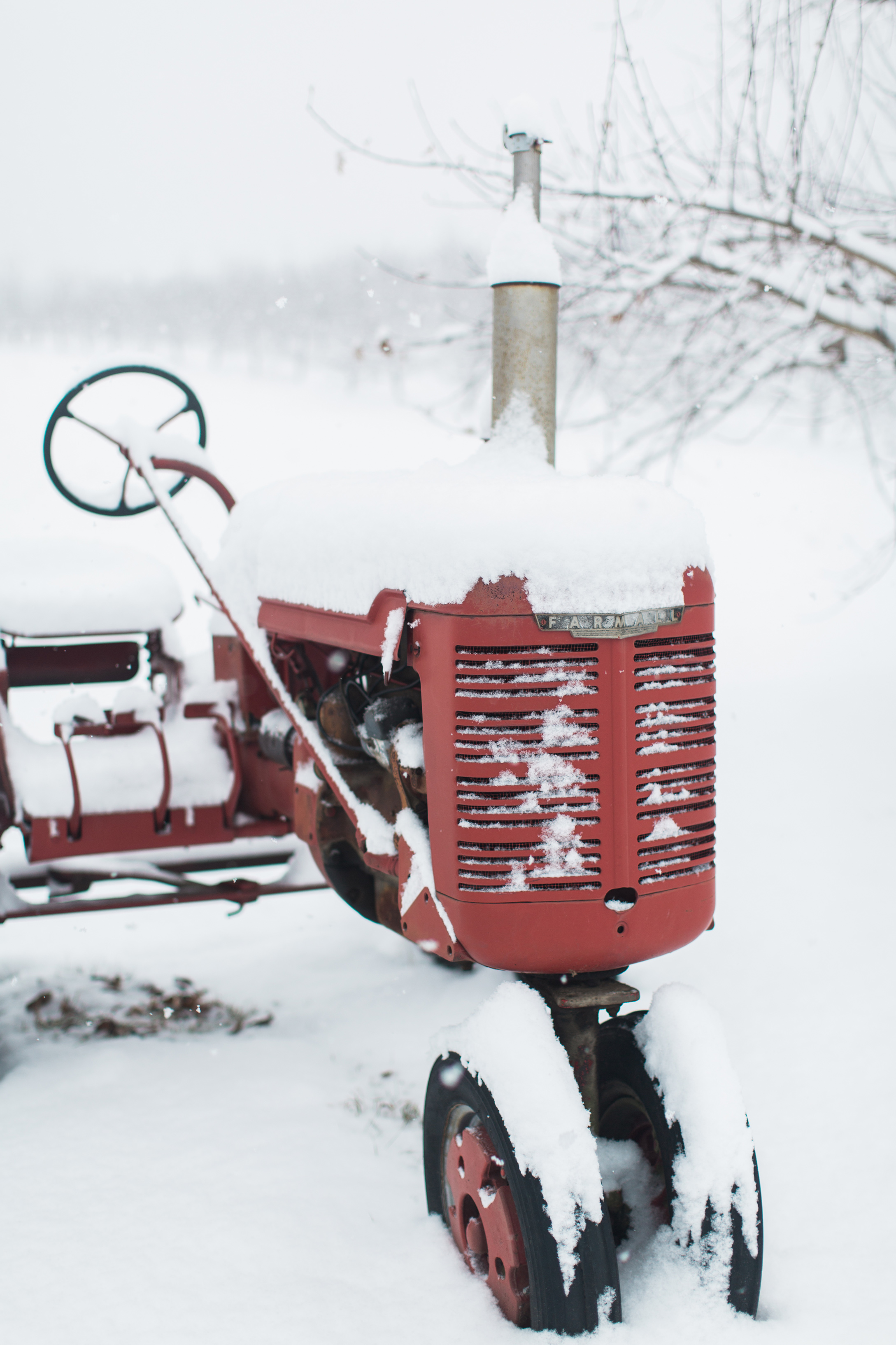 CindyGiovagnoli_New_Hampshire_New_England_snow_winter-022.jpg