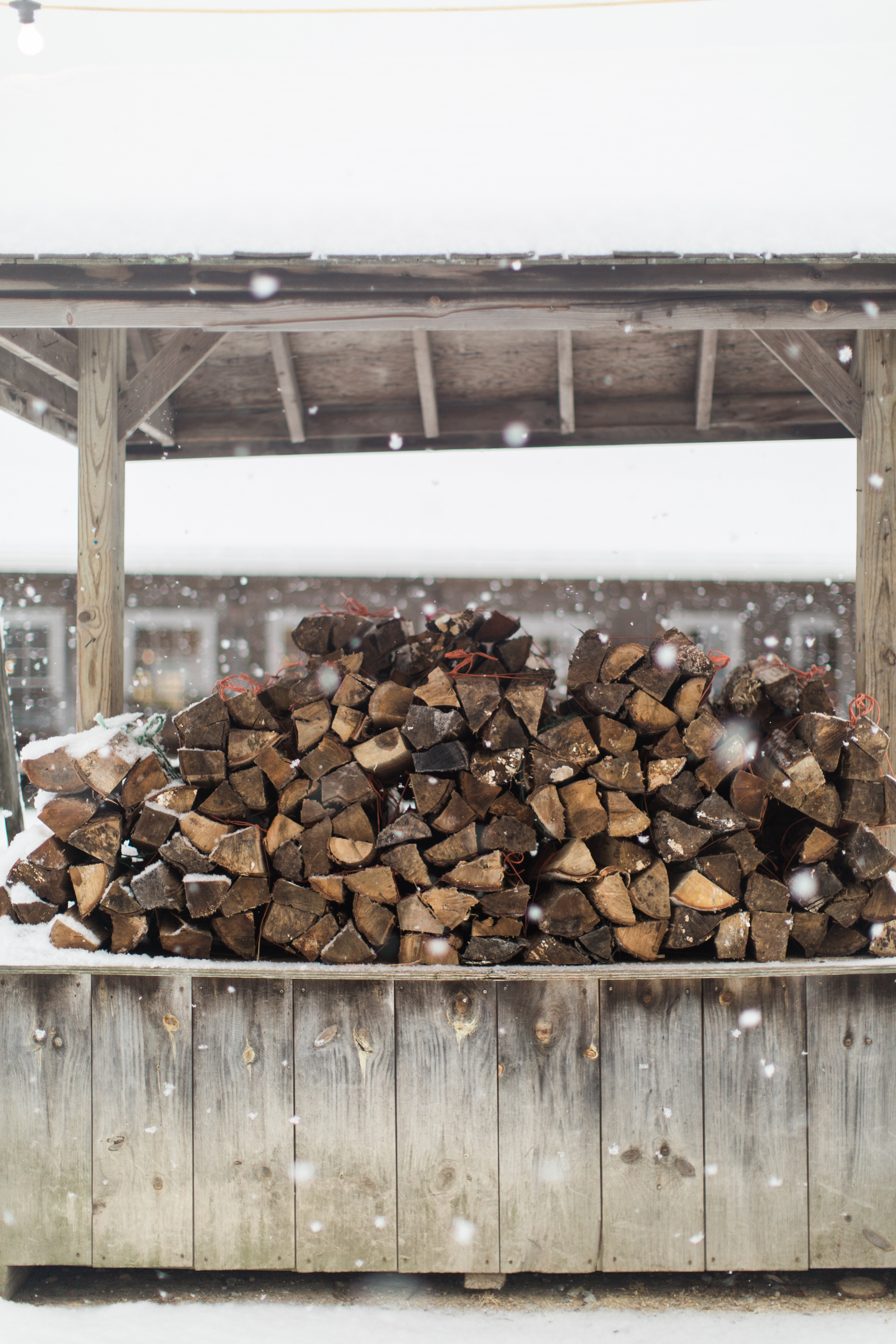 CindyGiovagnoli_New_Hampshire_New_England_snow_winter-025.jpg