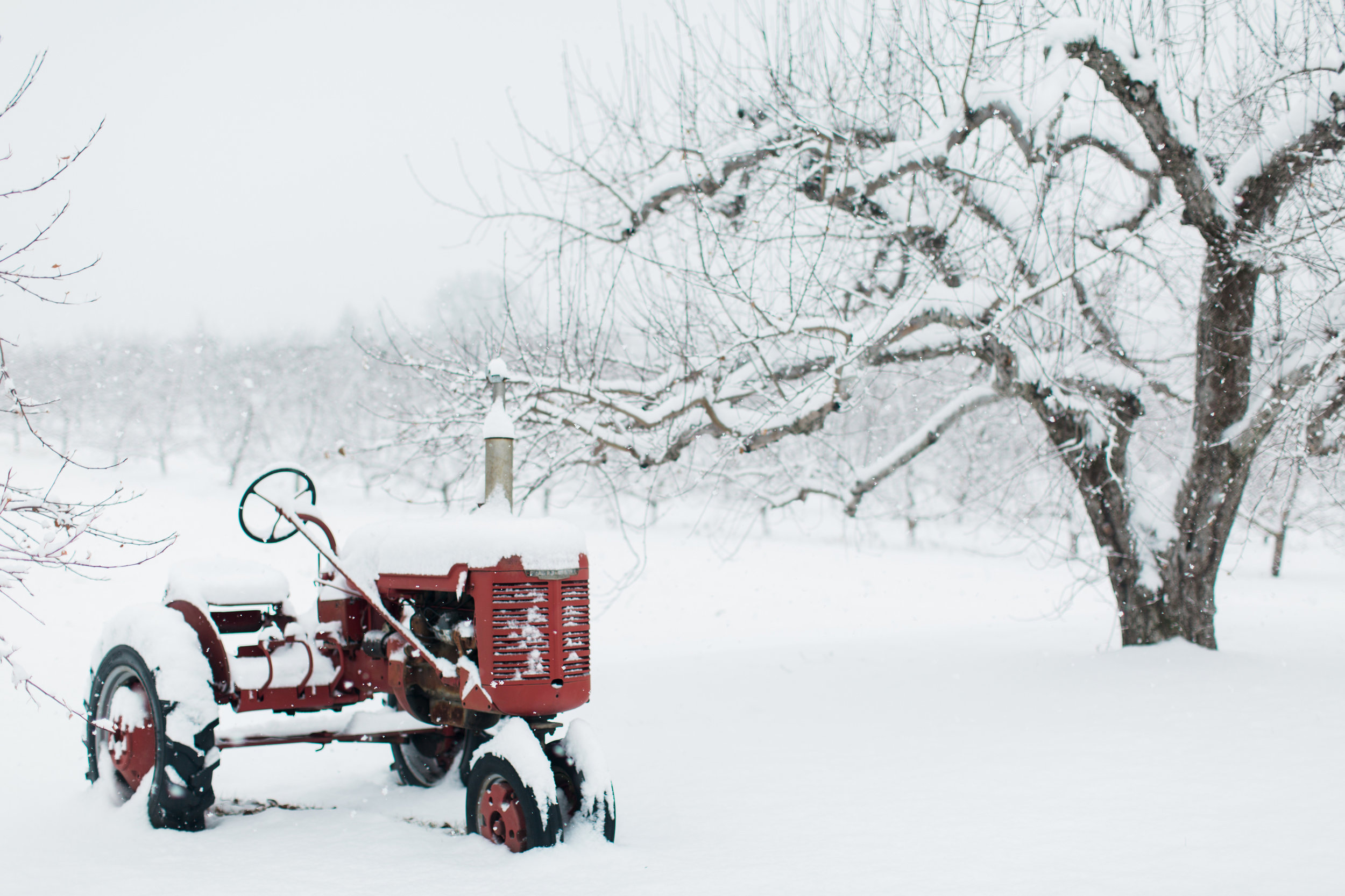 CindyGiovagnoli_New_Hampshire_New_England_snow_winter-026.jpg