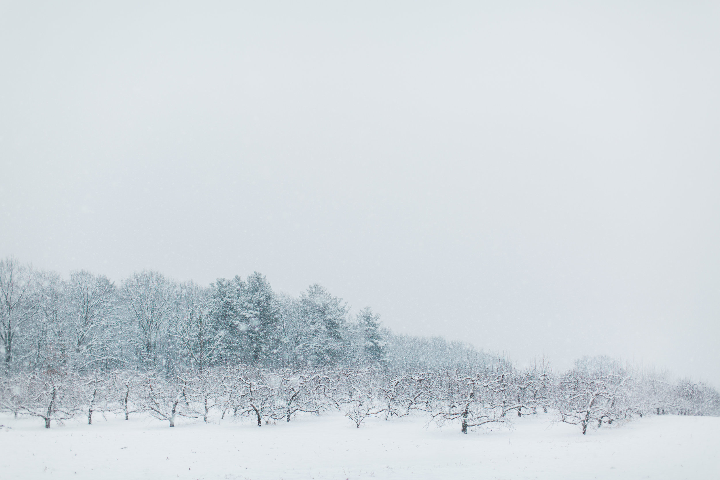 CindyGiovagnoli_New_Hampshire_New_England_snow_winter-028.jpg