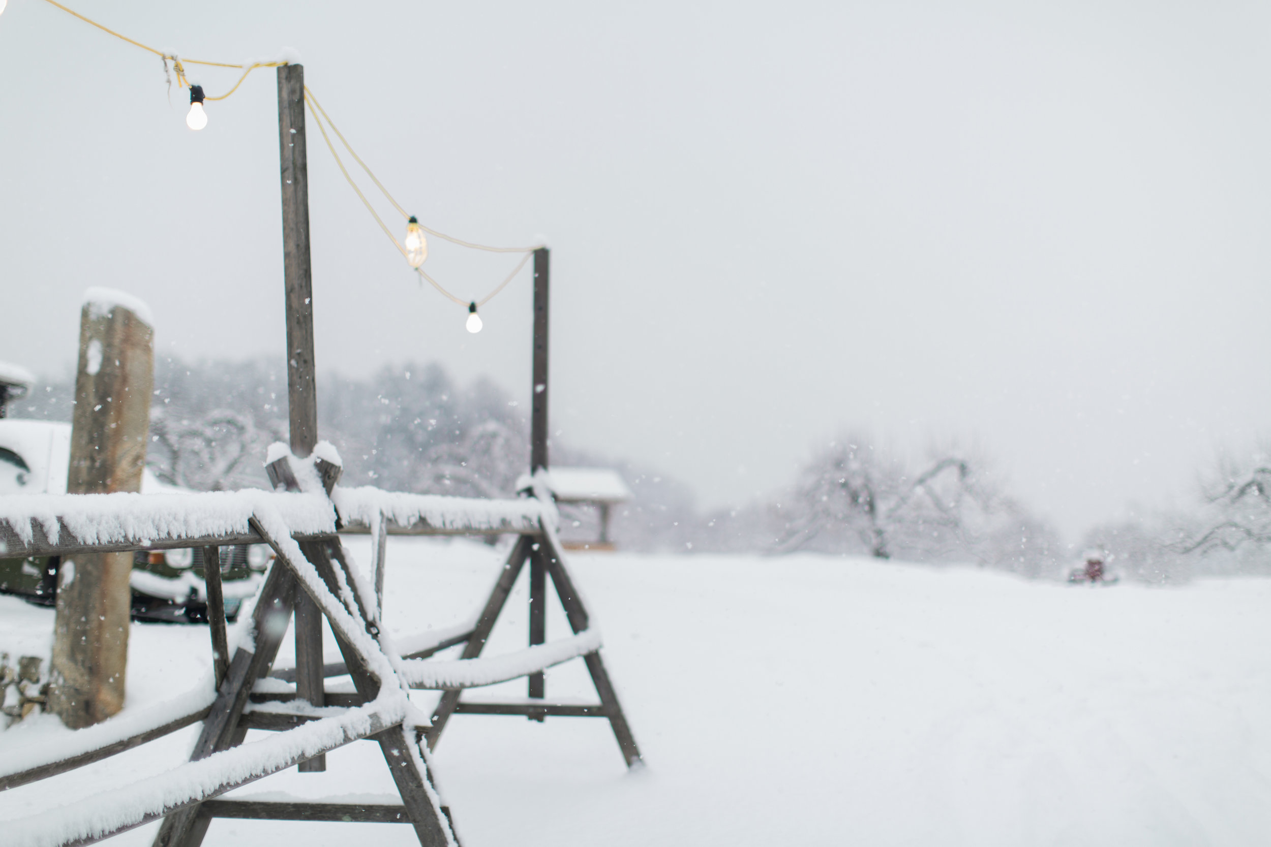 CindyGiovagnoli_New_Hampshire_New_England_snow_winter-029.jpg