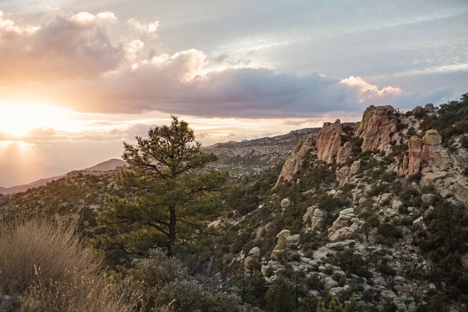 CindyGiovagnoli_Tucson_Arizona_MtLemmon_sunset_roadtrip-009.jpg