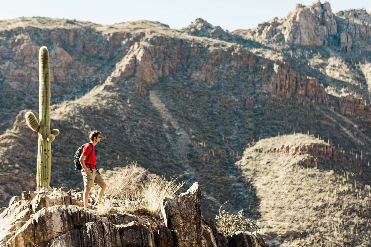 CindyGiovagnoli_Tucson_Arizona_Sabino_Canyon_Phone_Line_Trail_Uinta_Brewing_saguaro_cactus_desert_hiking-008.jpg