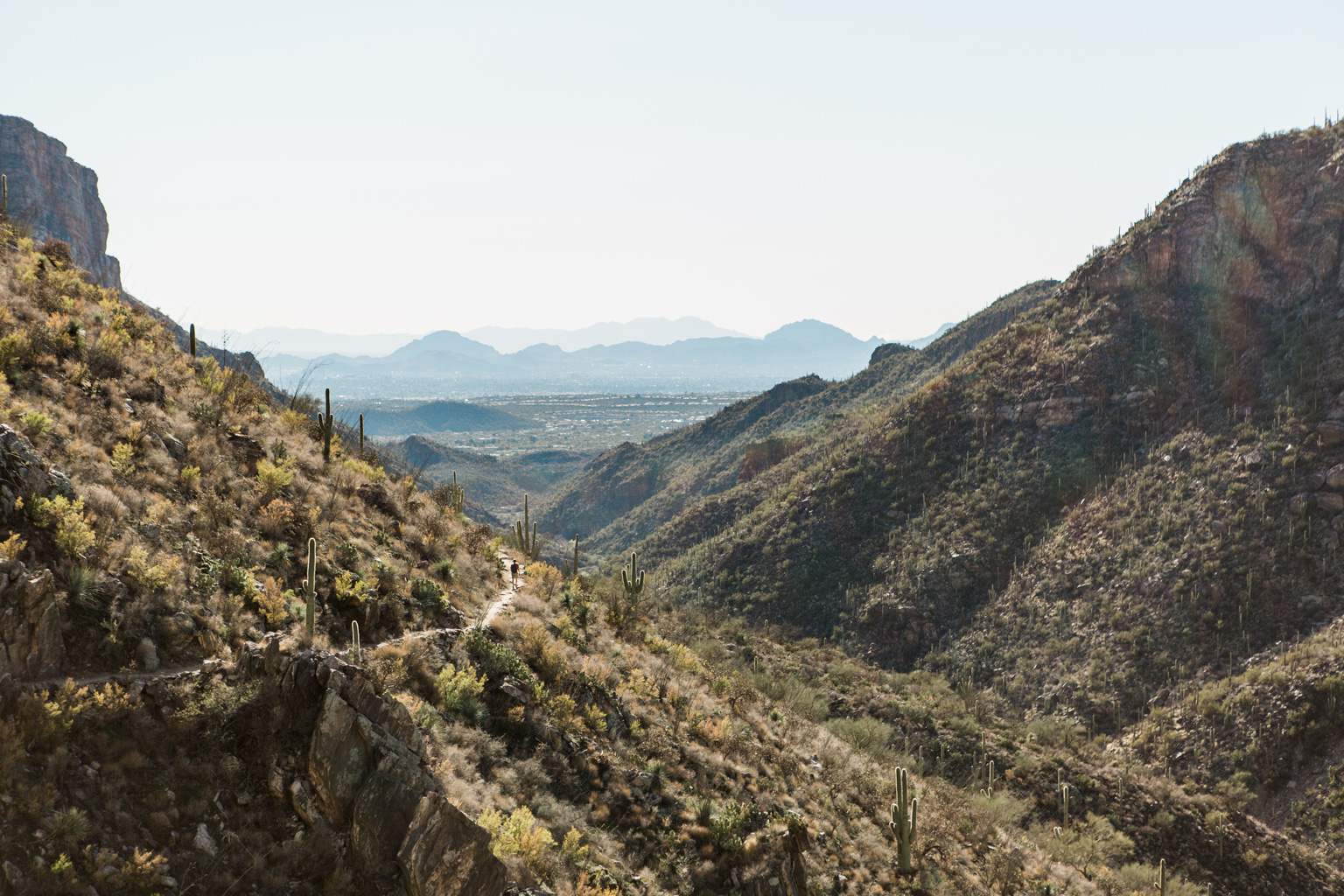 CindyGiovagnoli_Tucson_Arizona_Sabino_Canyon_Phone_Line_Trail_Uinta_Brewing_saguaro_cactus_desert_hiking-009.jpg