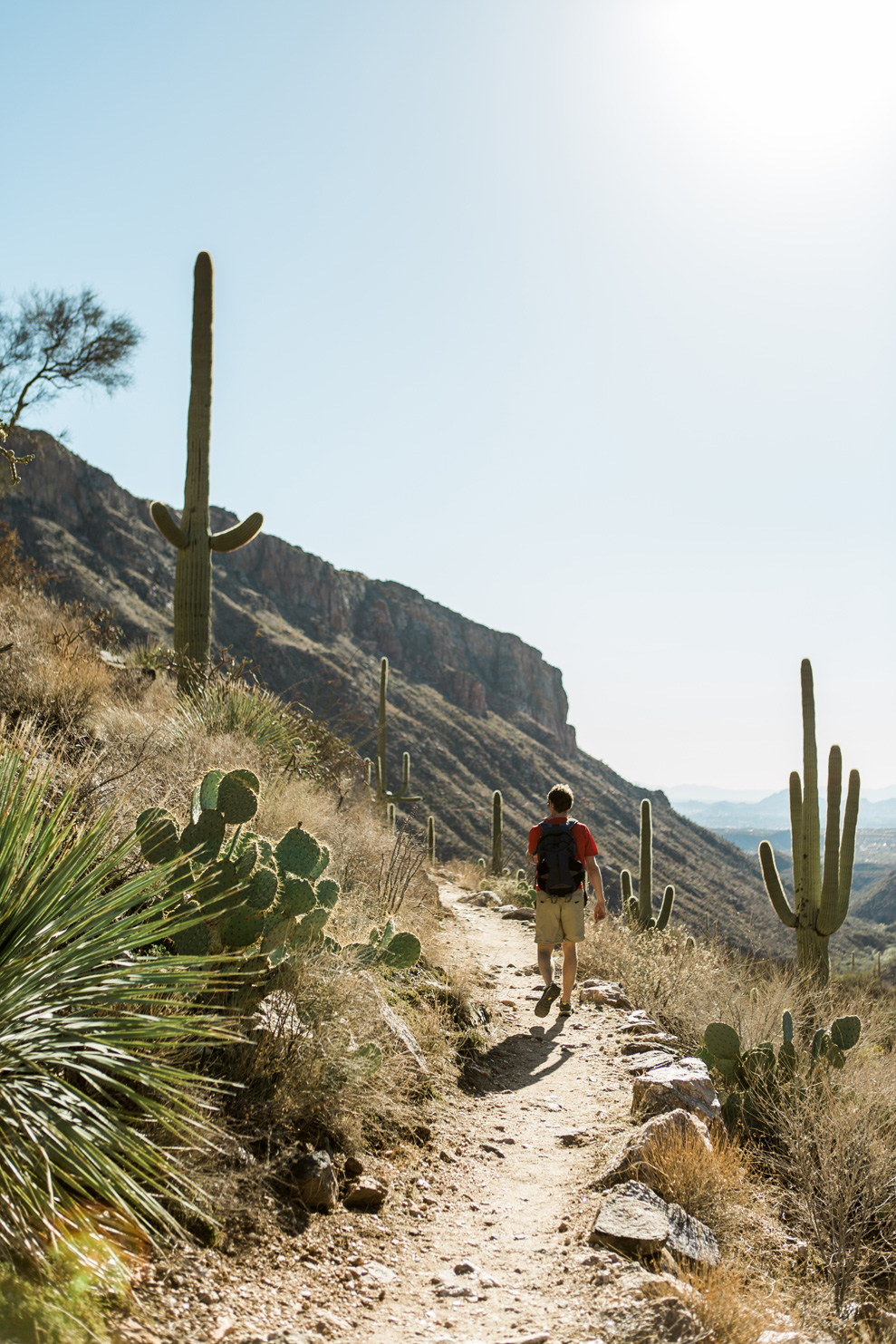CindyGiovagnoli_Tucson_Arizona_Sabino_Canyon_Phone_Line_Trail_Uinta_Brewing_saguaro_cactus_desert_hiking-010.jpg