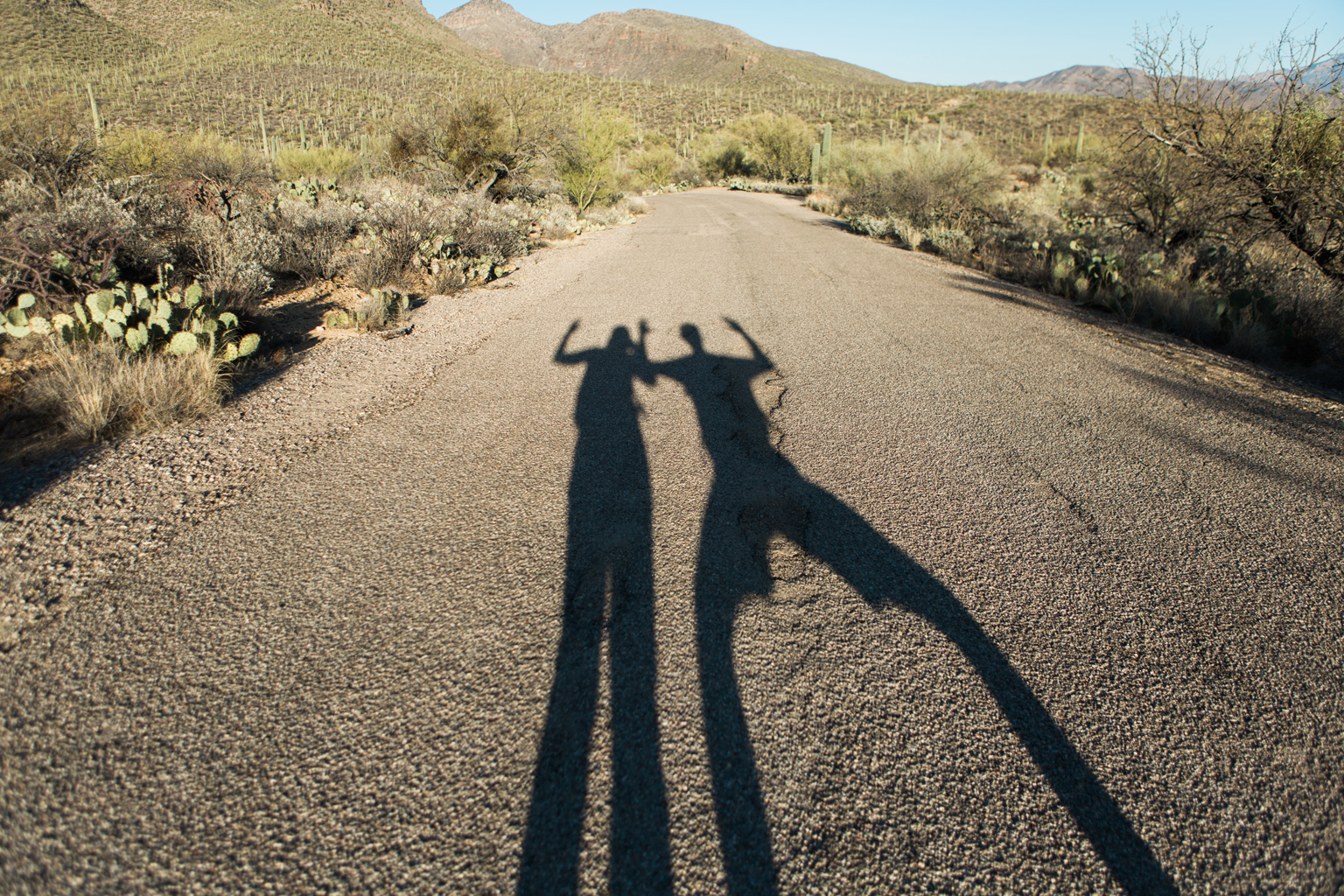 CindyGiovagnoli_Tucson_Arizona_Sabino_Canyon_Phone_Line_Trail_Uinta_Brewing_saguaro_cactus_desert_hiking-013.jpg