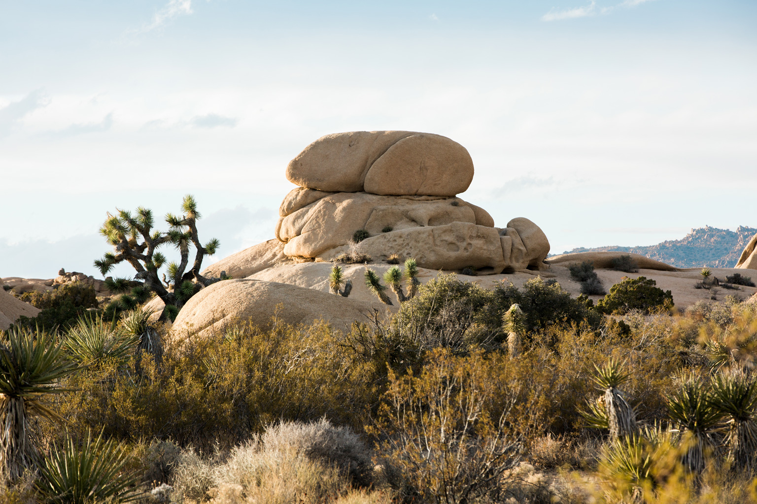 CindyGiovagnoli_Joshua_Tree_National_Park_California_Mojave_Desert_Cholla_Garden_Hidden_Valley_climbing_hiking_camping-009.jpg