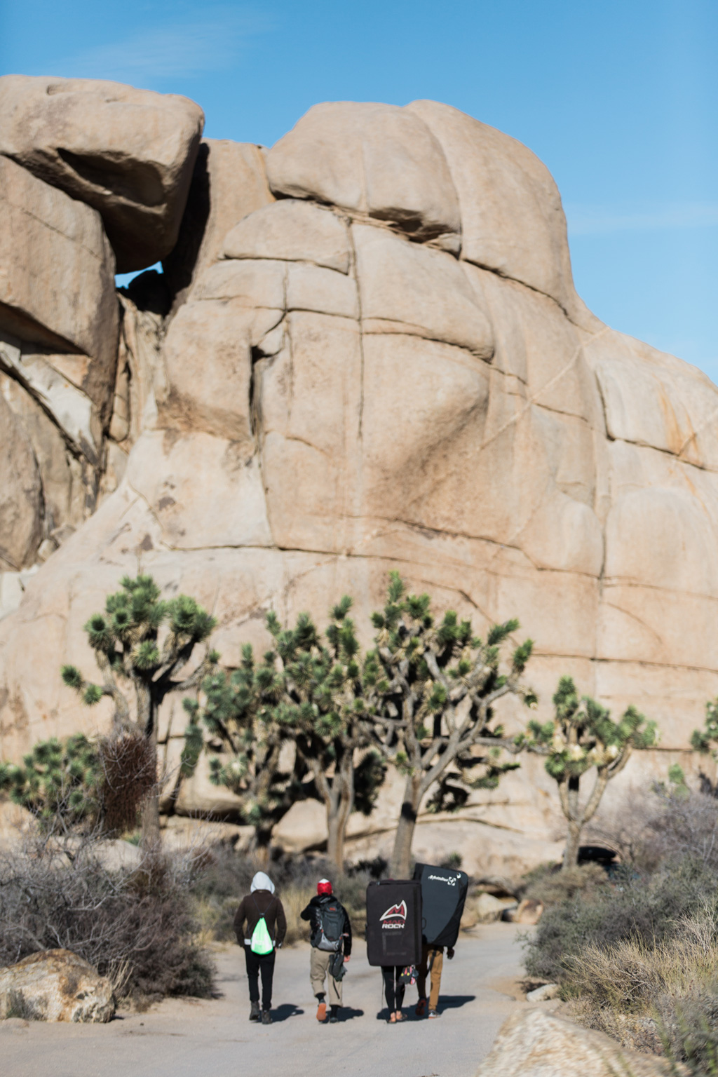 CindyGiovagnoli_Joshua_Tree_National_Park_California_Mojave_Desert_Cholla_Garden_Hidden_Valley_climbing_hiking_camping-010.jpg