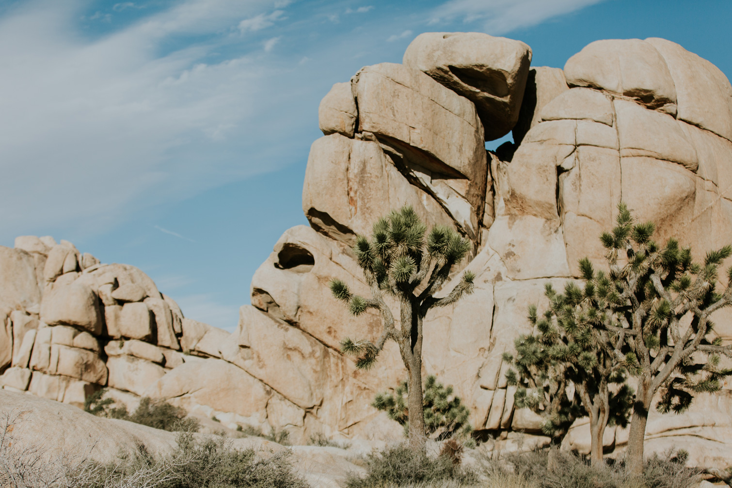 CindyGiovagnoli_Joshua_Tree_National_Park_California_Mojave_Desert_Cholla_Garden_Hidden_Valley_climbing_hiking_camping-021.jpg