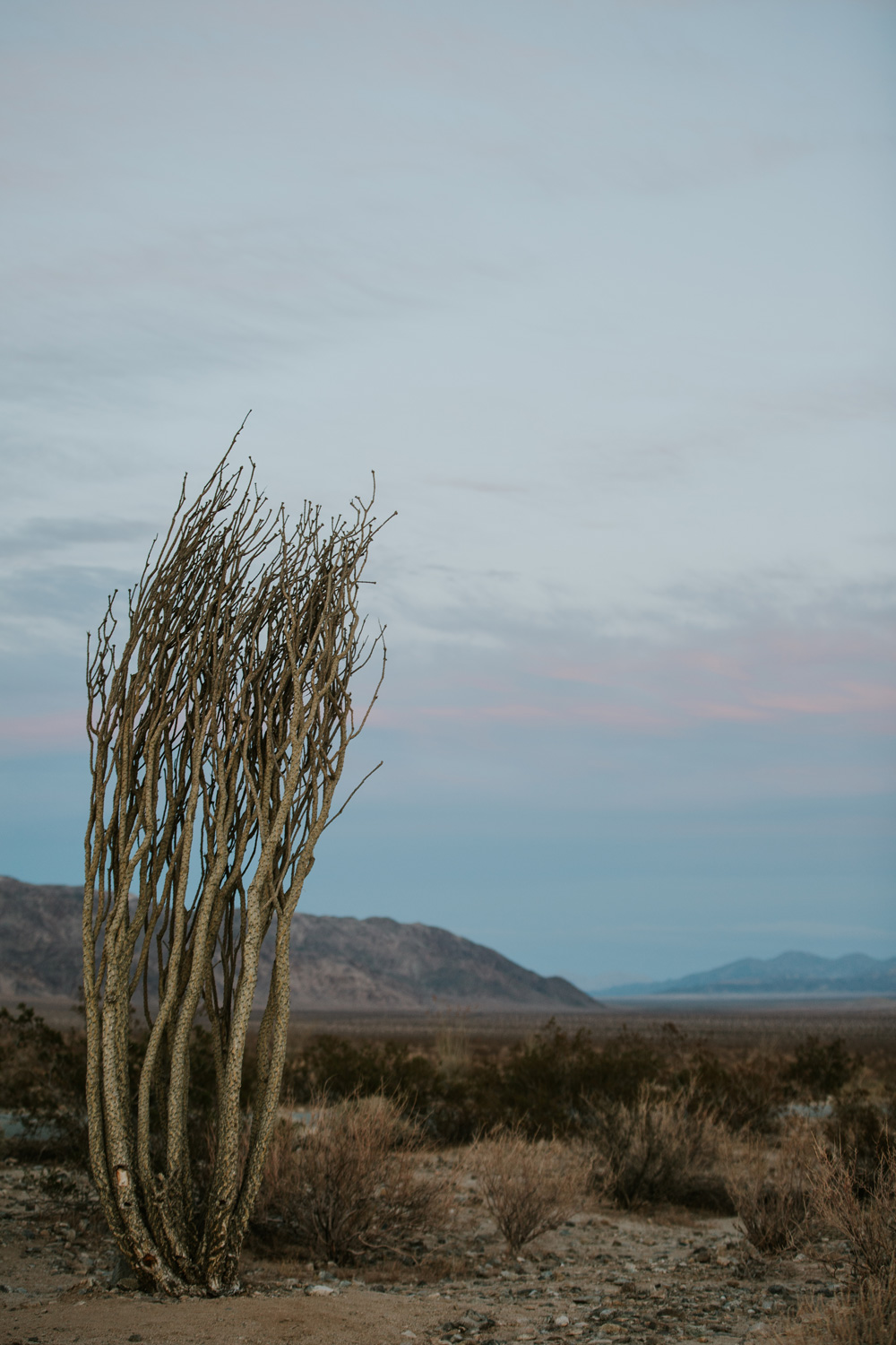 CindyGiovagnoli_Joshua_Tree_National_Park_California_Mojave_Desert_Cholla_Garden_Hidden_Valley_climbing_hiking_camping-024.jpg