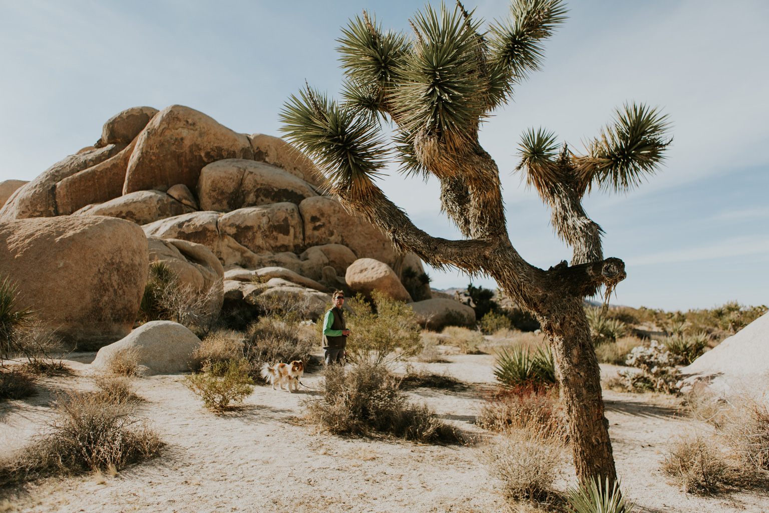 CindyGiovagnoli_Joshua_Tree_National_Park_California_Mojave_Desert_Cholla_Garden_Hidden_Valley_climbing_hiking_camping-027.jpg