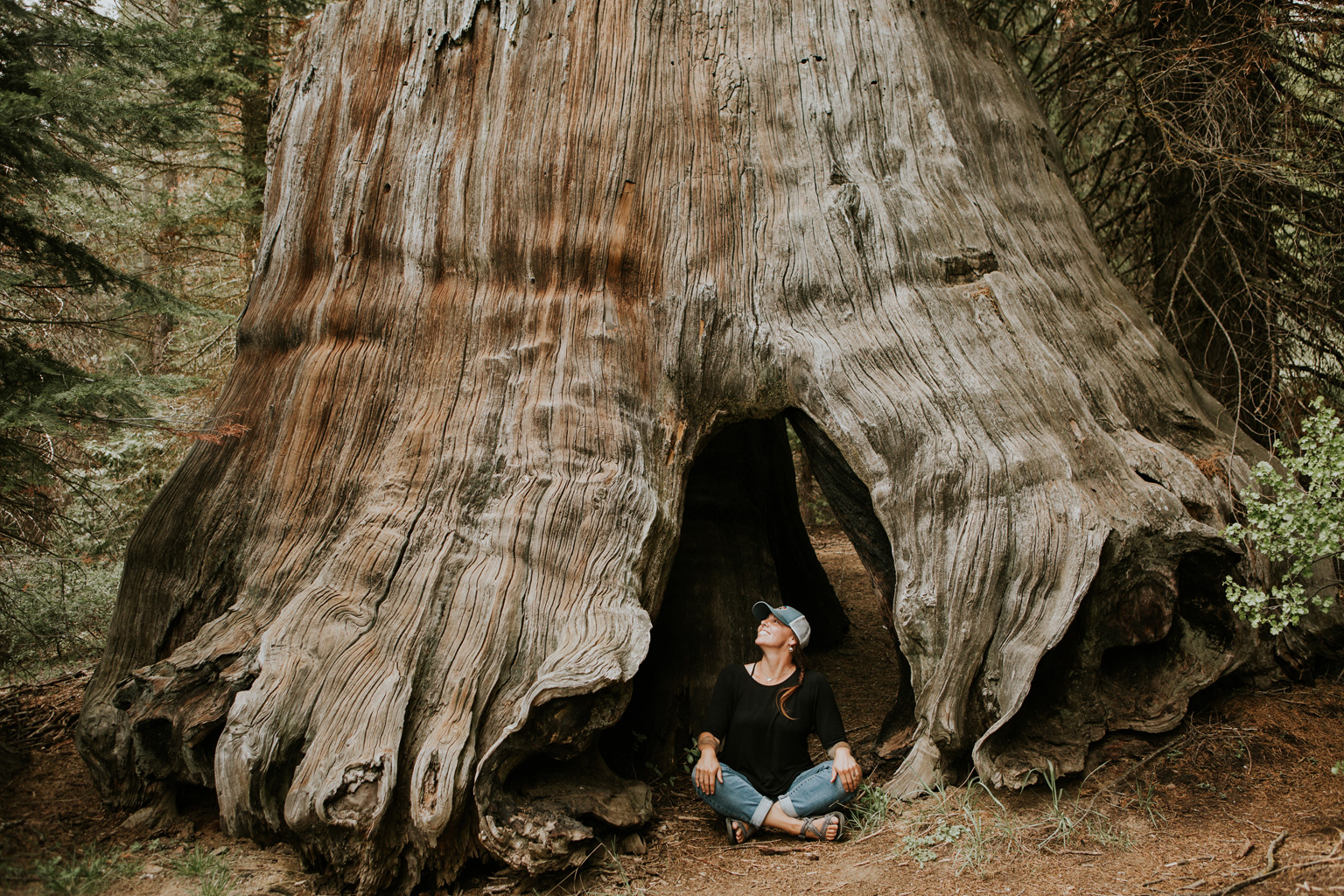CindyGiovagnoli_Sedona_Arizona_Sequoia_Kings_Canyon_National_Park_California_giant_sequoia_trees_Kings_River_hiking_camping-009.jpg