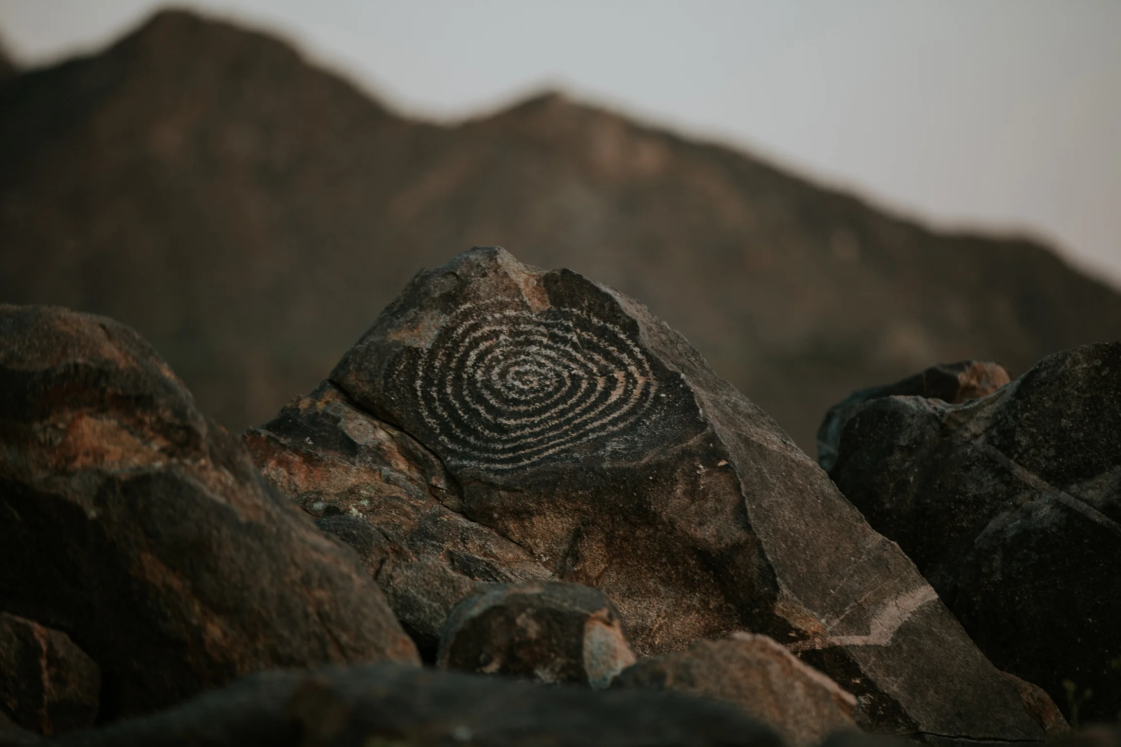 CindyGiovagnoli_Tucson_Arizona_Saguaro_National_Park_cactus_sunset_blooming_spring_sunset_petroglyphs_Native_American_indigenous-021.jpg