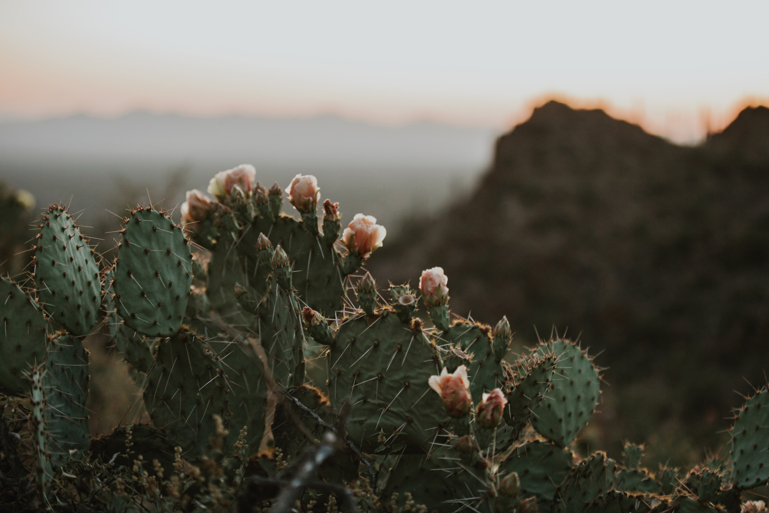 CindyGiovagnoli_Tucson_Arizona_engagement_lifestyle_portrait_Airstream_Excella_travel_trailer_camper_Saguaro_National_Park-048.jpg