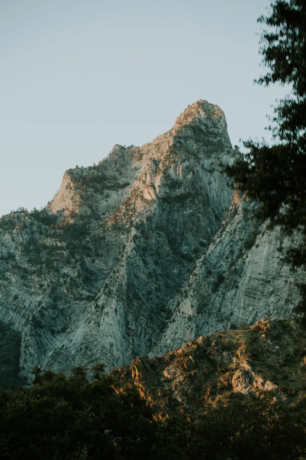 CindyGiovagnoli_Sequoia_KingsCanyon_National_Park_California_roadtrip_travel-007.jpg