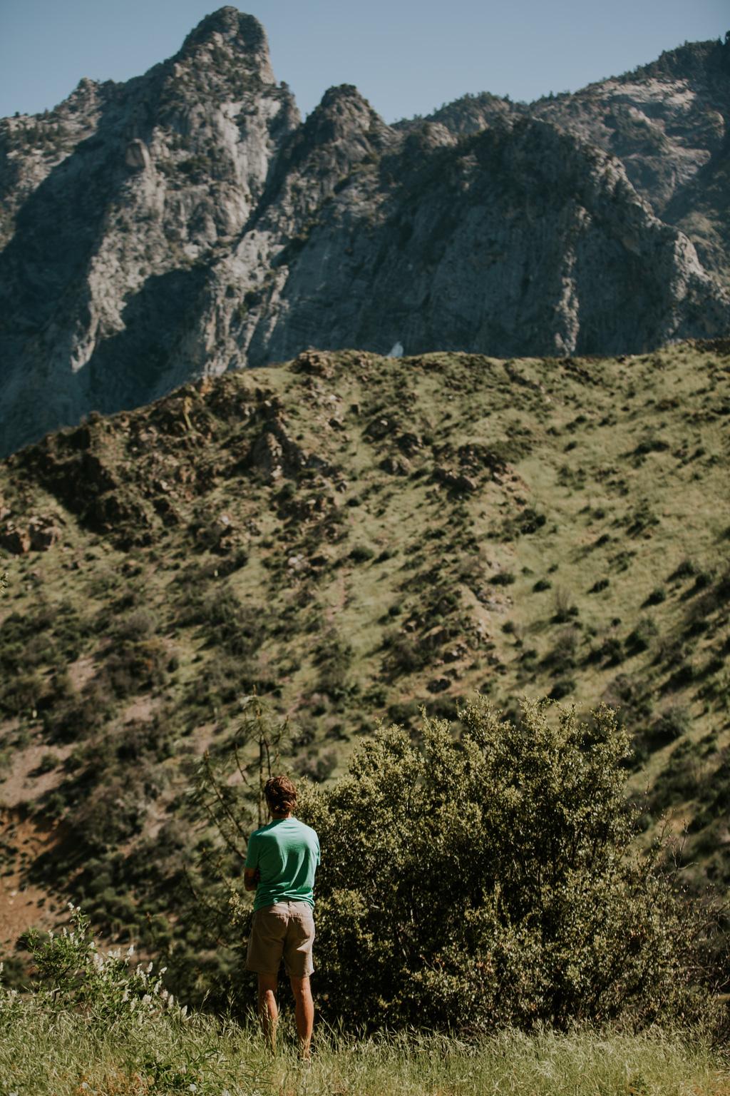 CindyGiovagnoli_California_Sequoia_Kings_Canyon_National_Park_trees_travel_road_trip-002.jpg