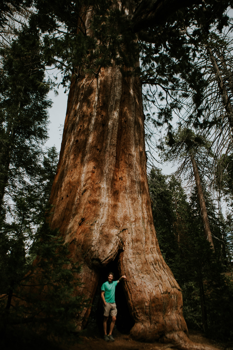 CindyGiovagnoli_California_Sequoia_Kings_Canyon_National_Park_trees_travel_road_trip-018.jpg