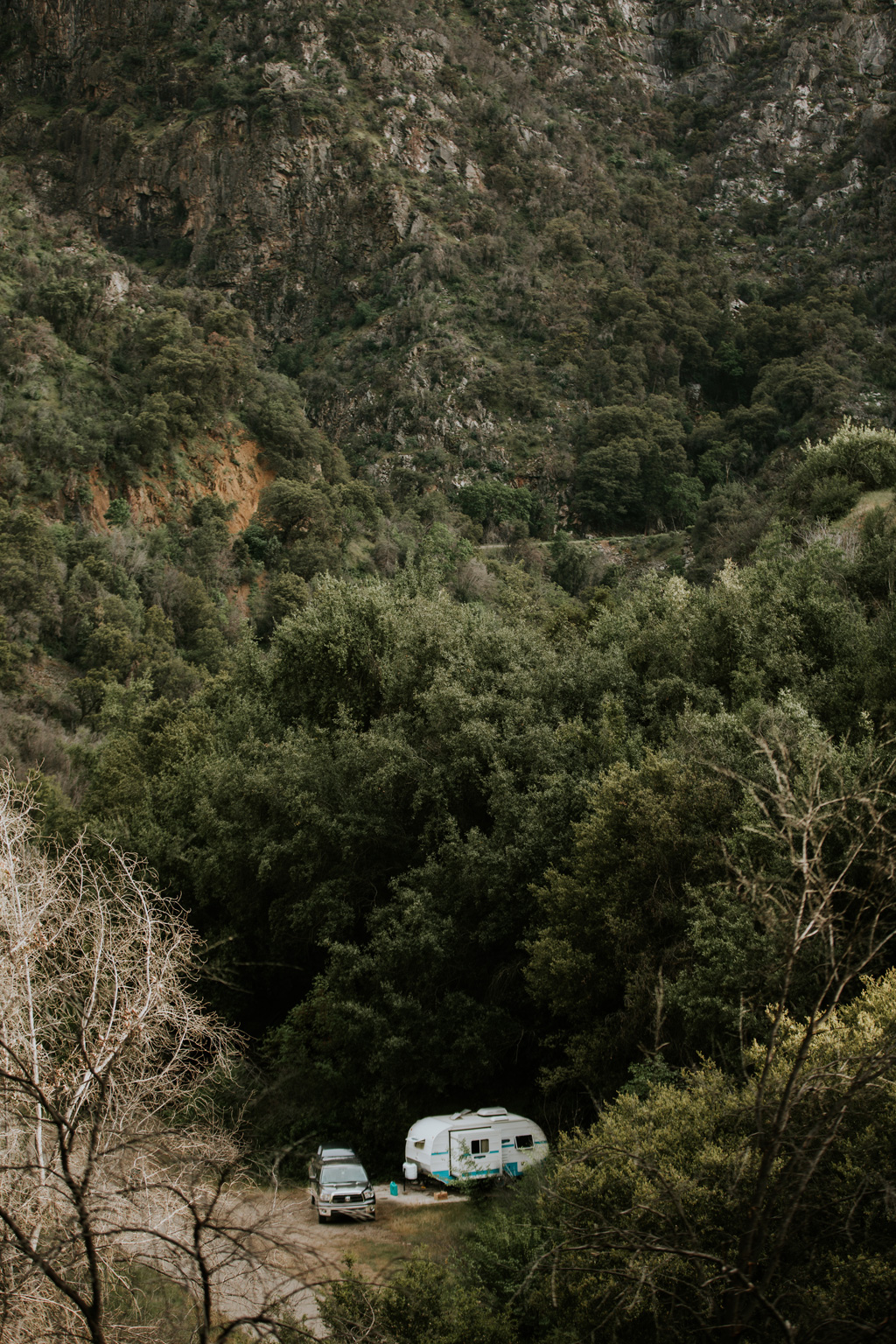 CindyGiovagnoli_California_Sequoia_Kings_Canyon_National_Park_trees_travel_road_trip-026.jpg