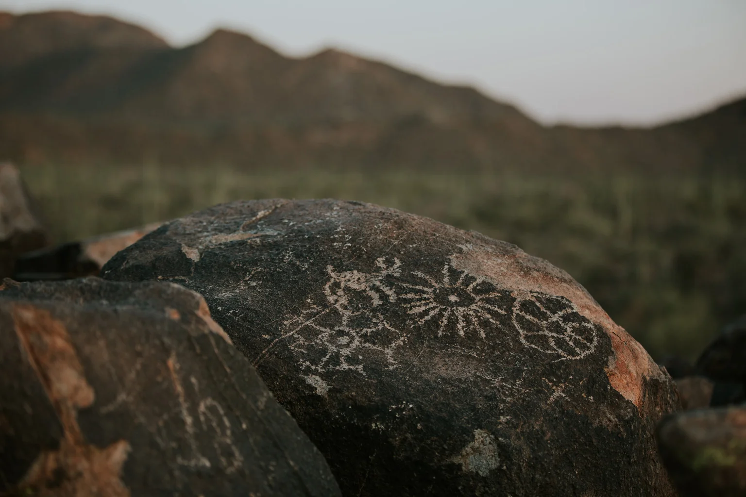 CindyGiovagnoli_Tucson_Arizona_tourism_visit_travel_guide_Sonoran_desert-012.jpg