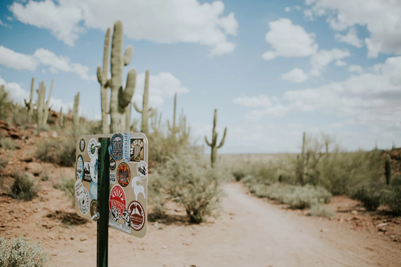 CindyGiovagnoli_Tucson_Arizona_tourism_visit_travel_guide_Sonoran_desert-024.jpg
