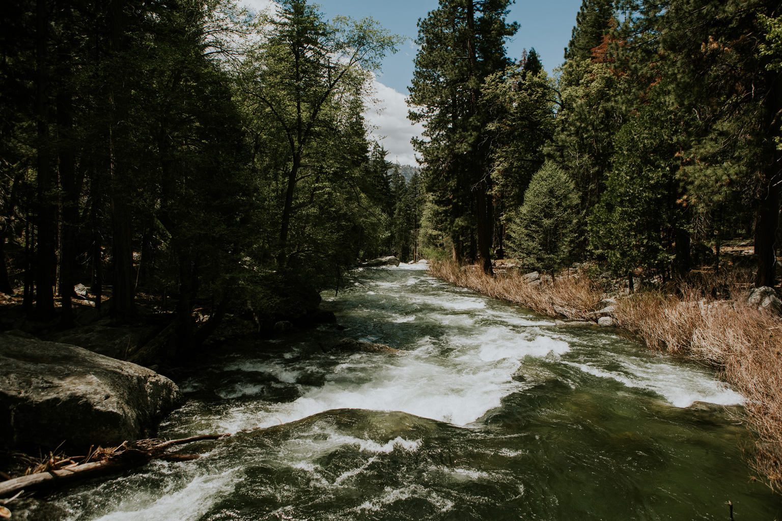 CindyGiovagnoli_Sequoia_KingsCanyon_National_Park_California_forest_fire-002.jpg