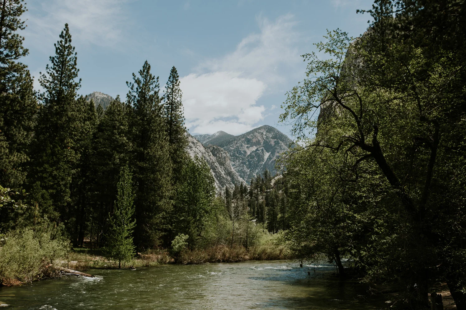 CindyGiovagnoli_Sequoia_KingsCanyon_National_Park_California_forest_fire-006.jpg