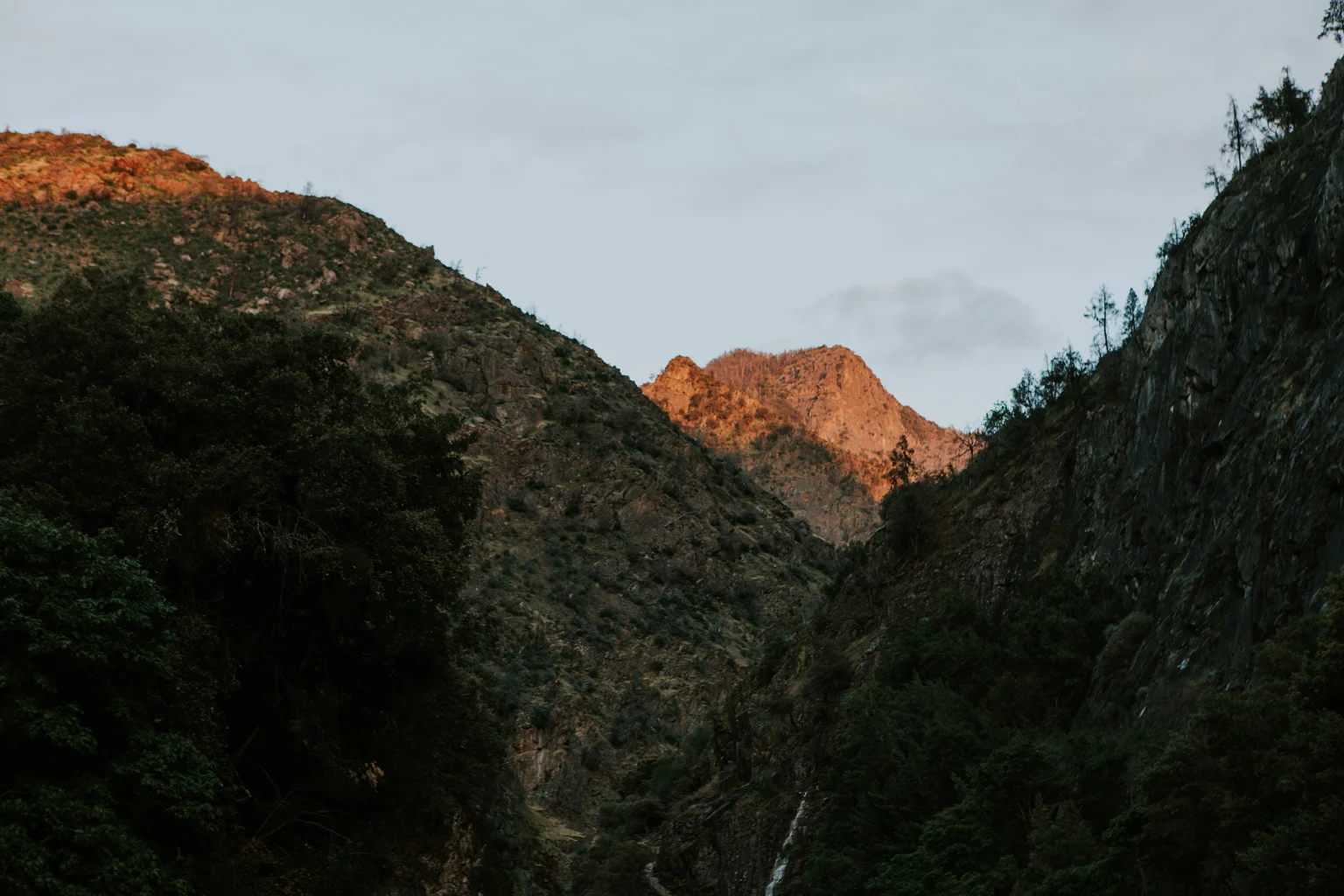 CindyGiovagnoli_Sequoia_KingsCanyon_National_Park_California_forest_fire-008.jpg