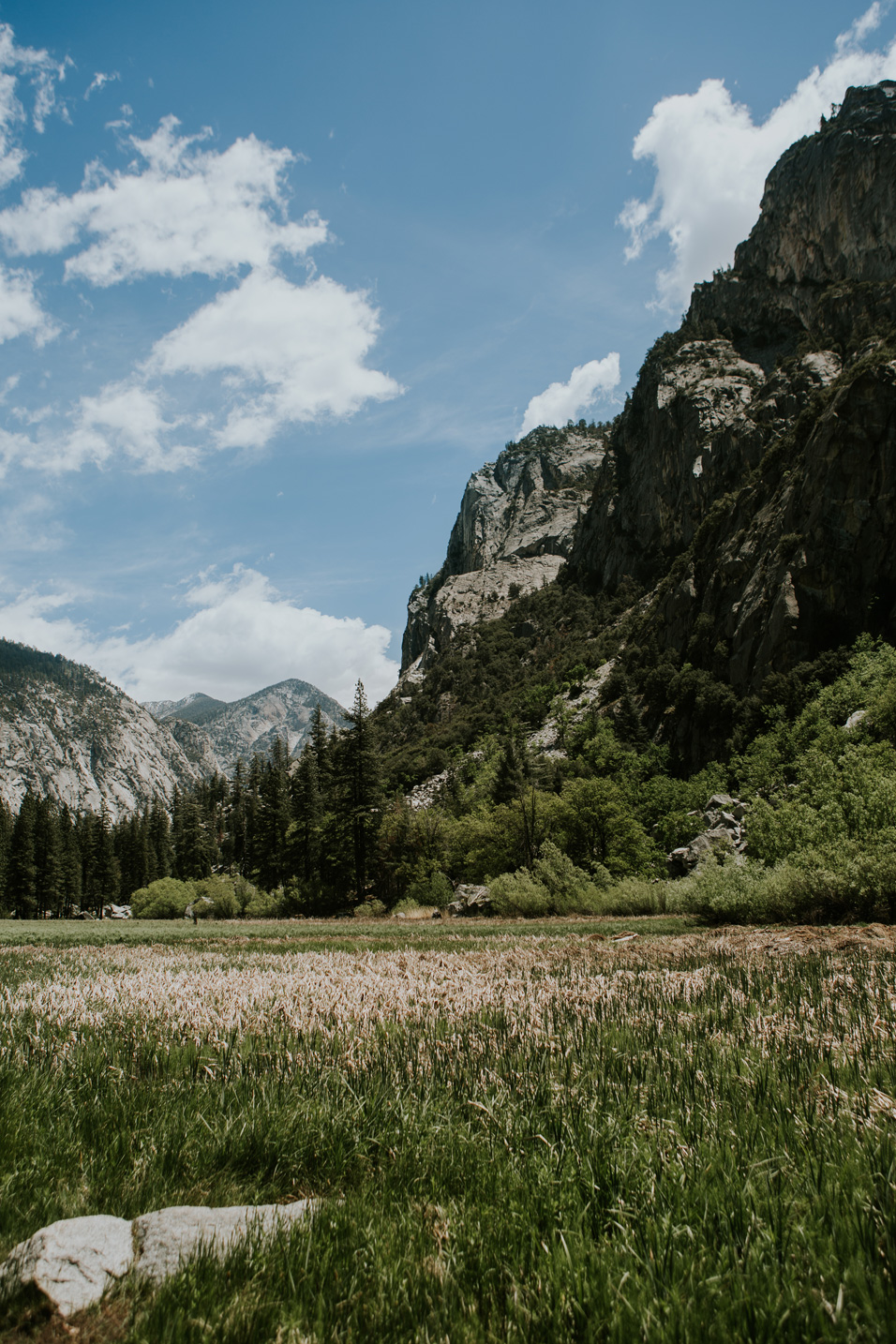 CindyGiovagnoli_Sequoia_KingsCanyon_National_Park_California_forest_fire-010.jpg