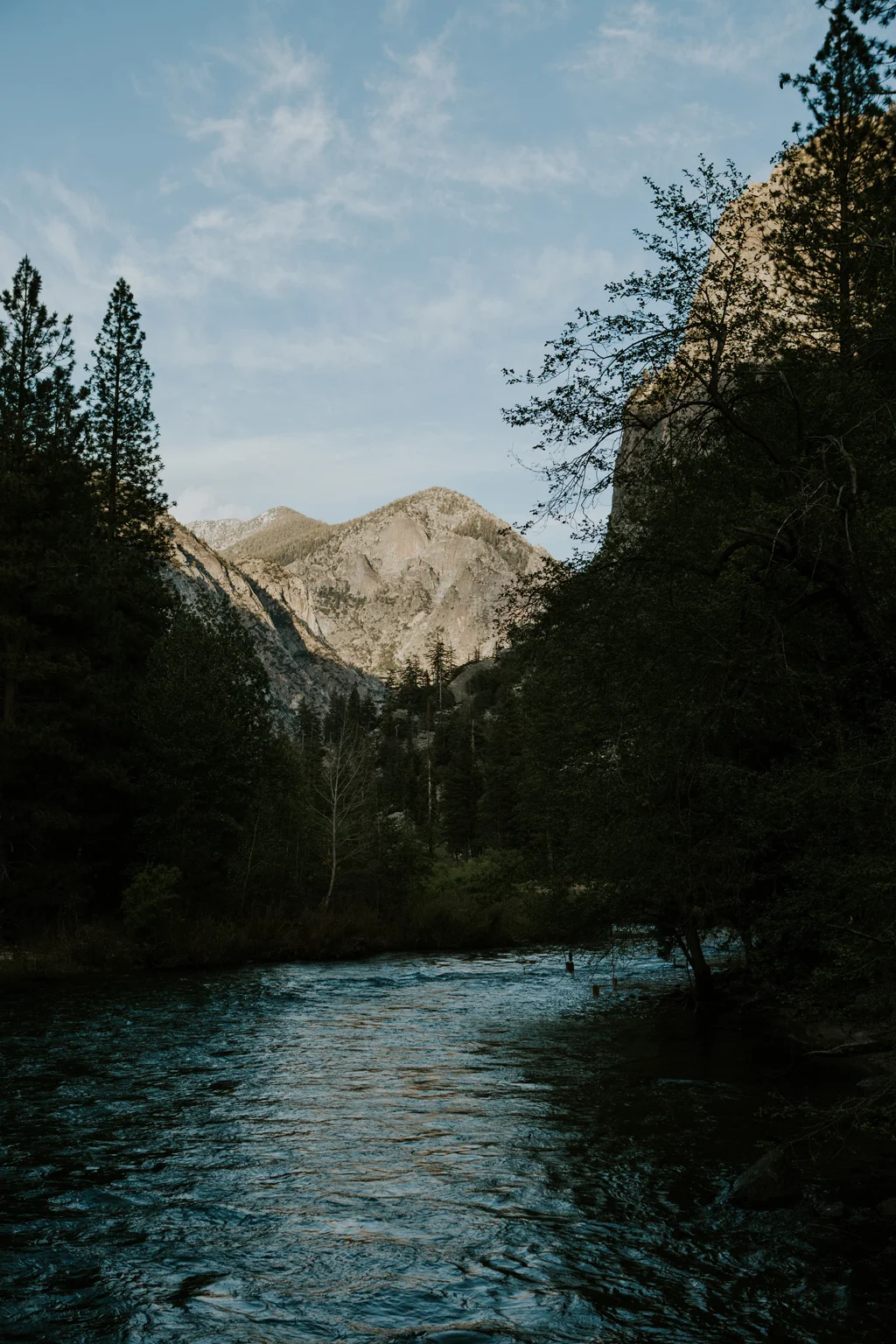 CindyGiovagnoli_Sequoia_KingsCanyon_National_Park_California_forest_fire-009.jpg