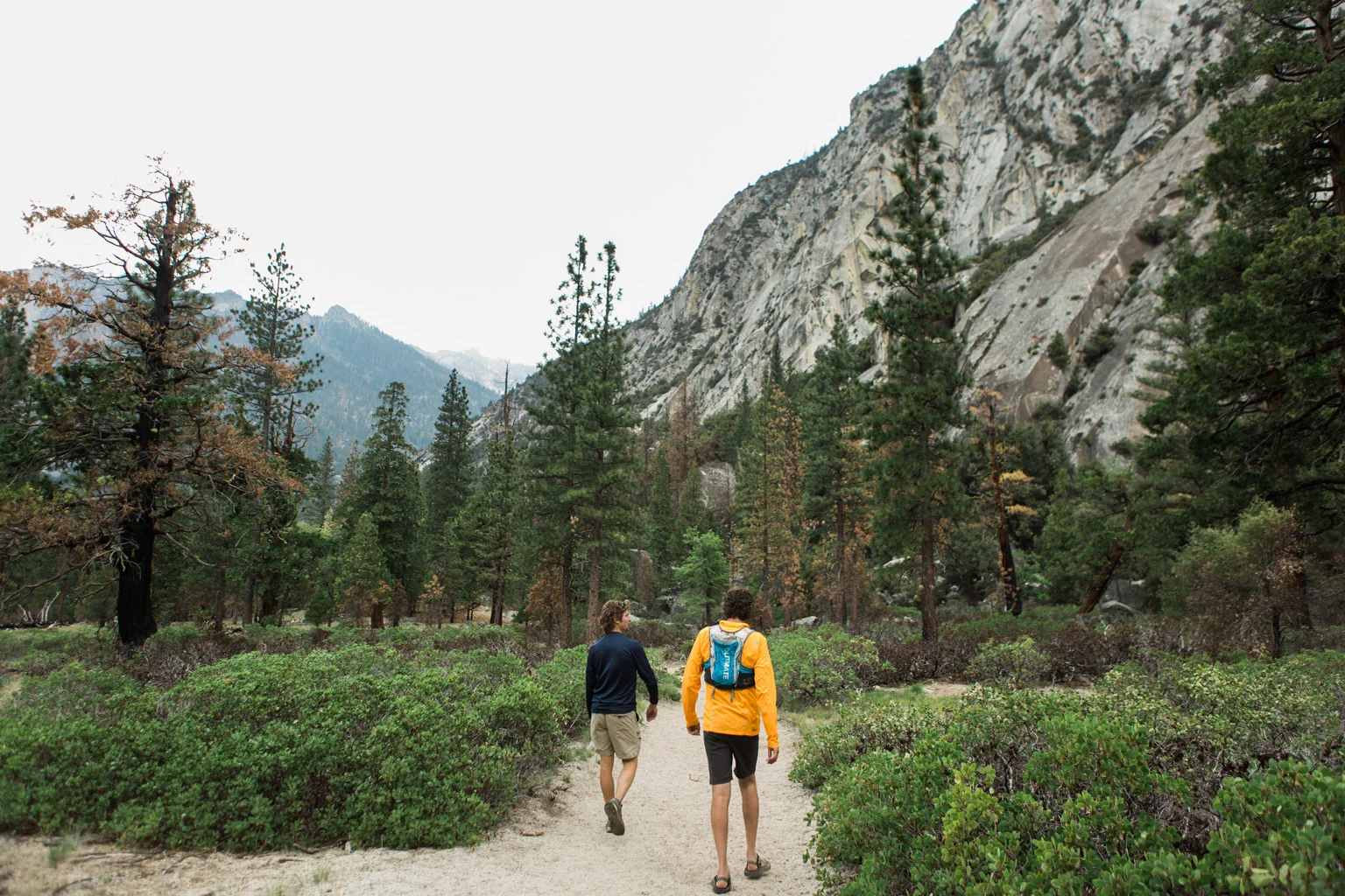 CindyGiovagnoli_Sequoia_KingsCanyon_National_Park_California_forest_fire-011.jpg