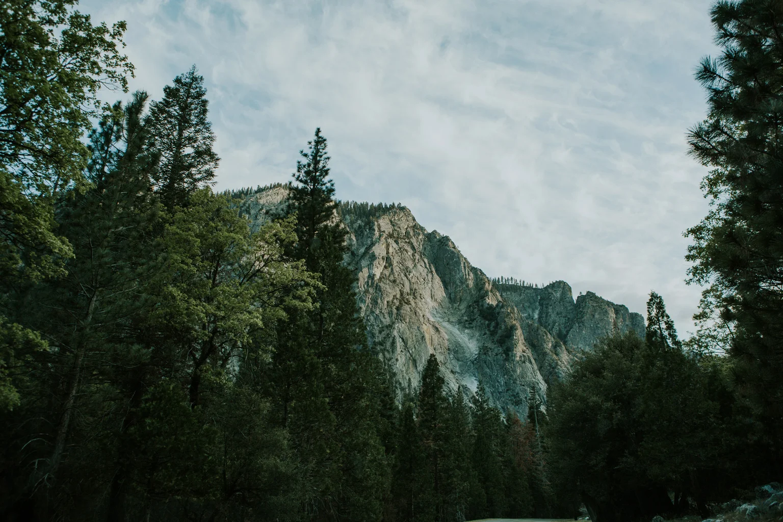 CindyGiovagnoli_Sequoia_KingsCanyon_National_Park_California_forest_fire-016.jpg