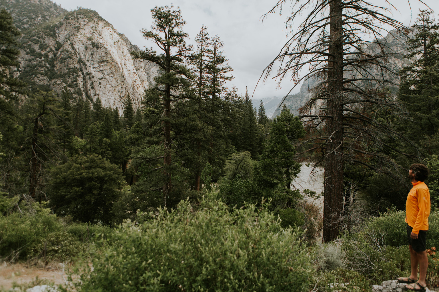 CindyGiovagnoli_Sequoia_KingsCanyon_National_Park_California_forest_fire-018.jpg