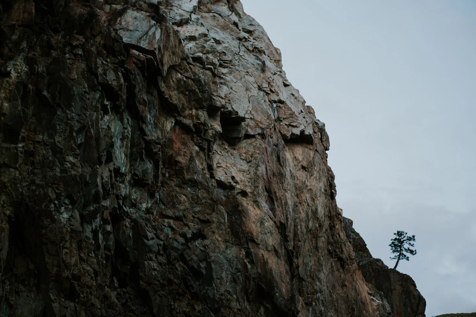 CindyGiovagnoli_Sequoia_KingsCanyon_National_Park_California_forest_fire-019.jpg