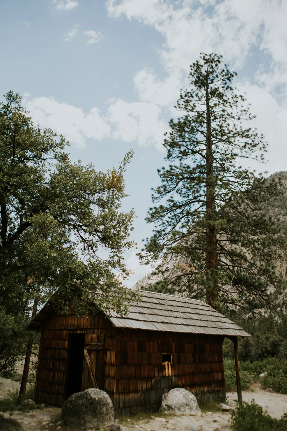 CindyGiovagnoli_Sequoia_KingsCanyon_National_Park_California_forest_fire-021.jpg