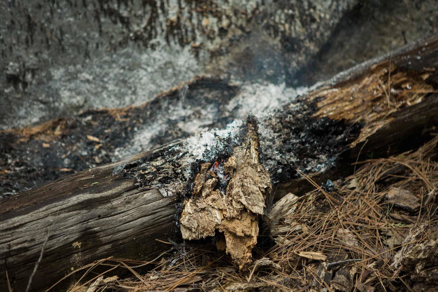 CindyGiovagnoli_Sequoia_KingsCanyon_National_Park_California_forest_fire-023.jpg