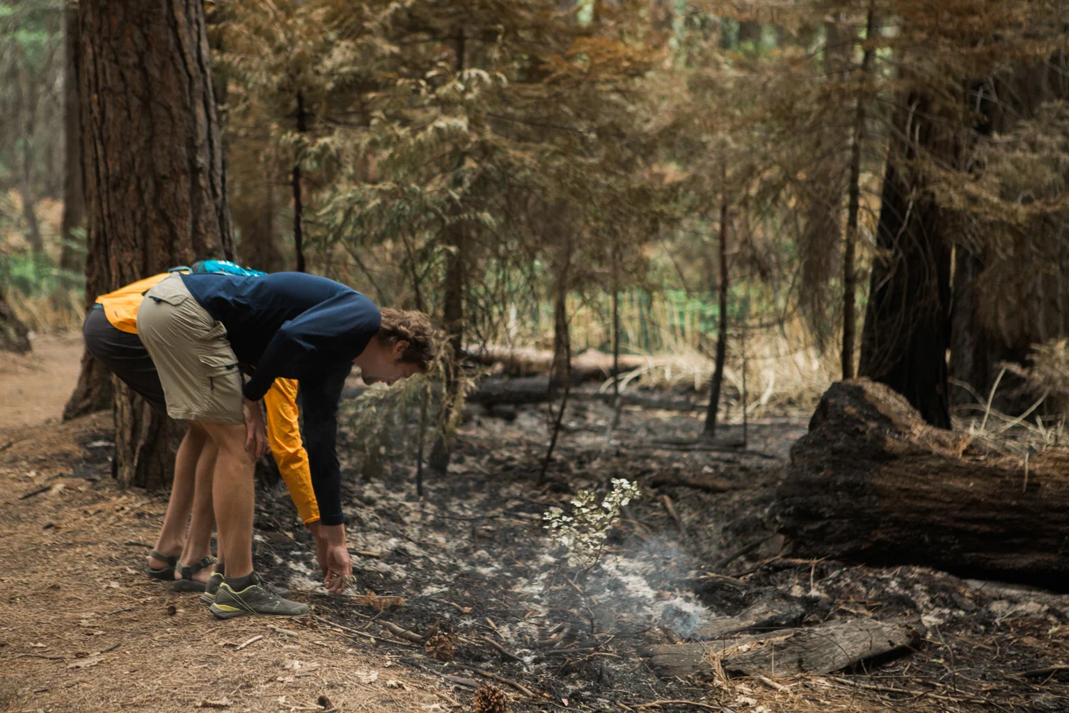 CindyGiovagnoli_Sequoia_KingsCanyon_National_Park_California_forest_fire-022.jpg