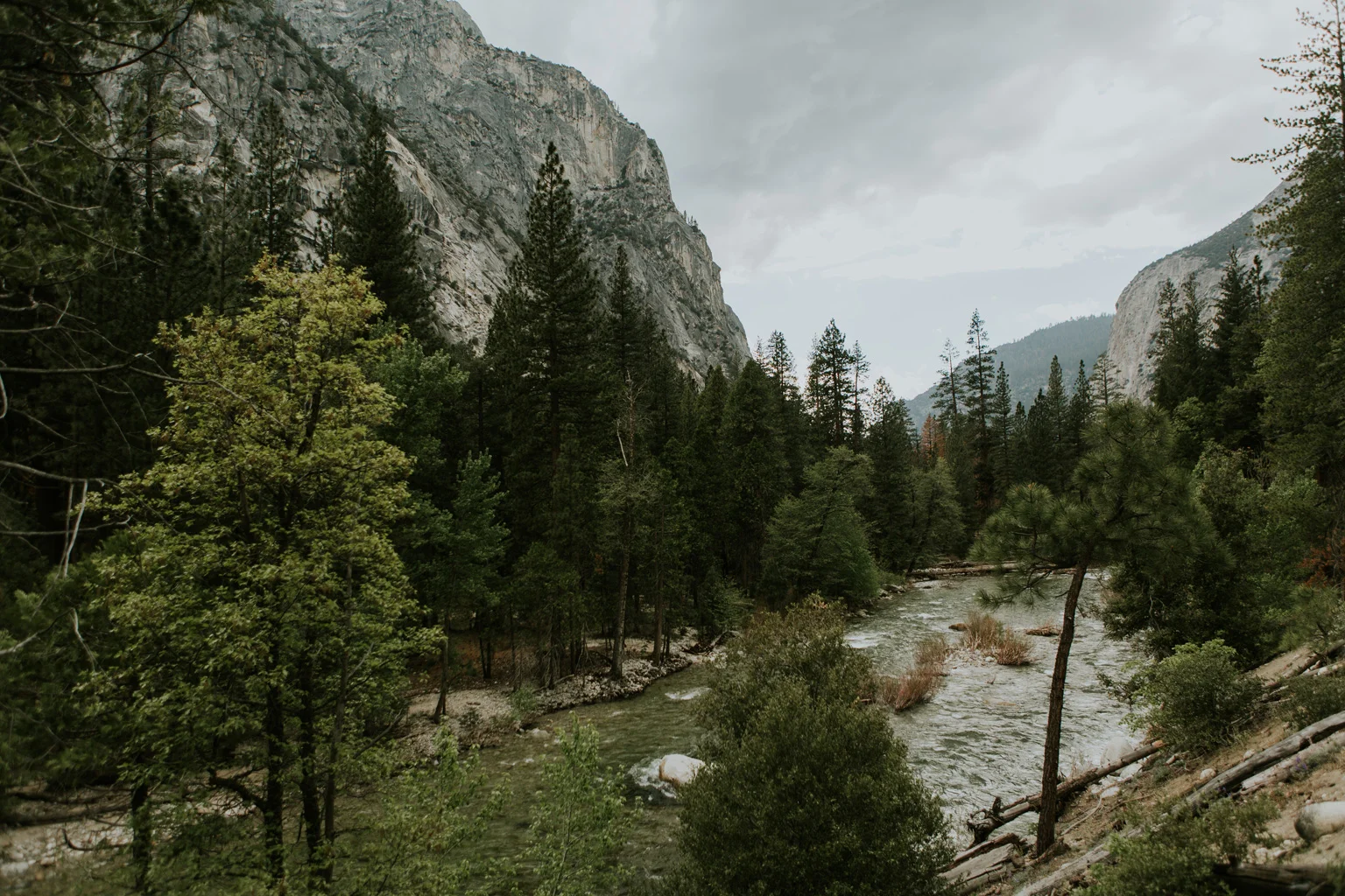 CindyGiovagnoli_Sequoia_KingsCanyon_National_Park_California_forest_fire-024.jpg