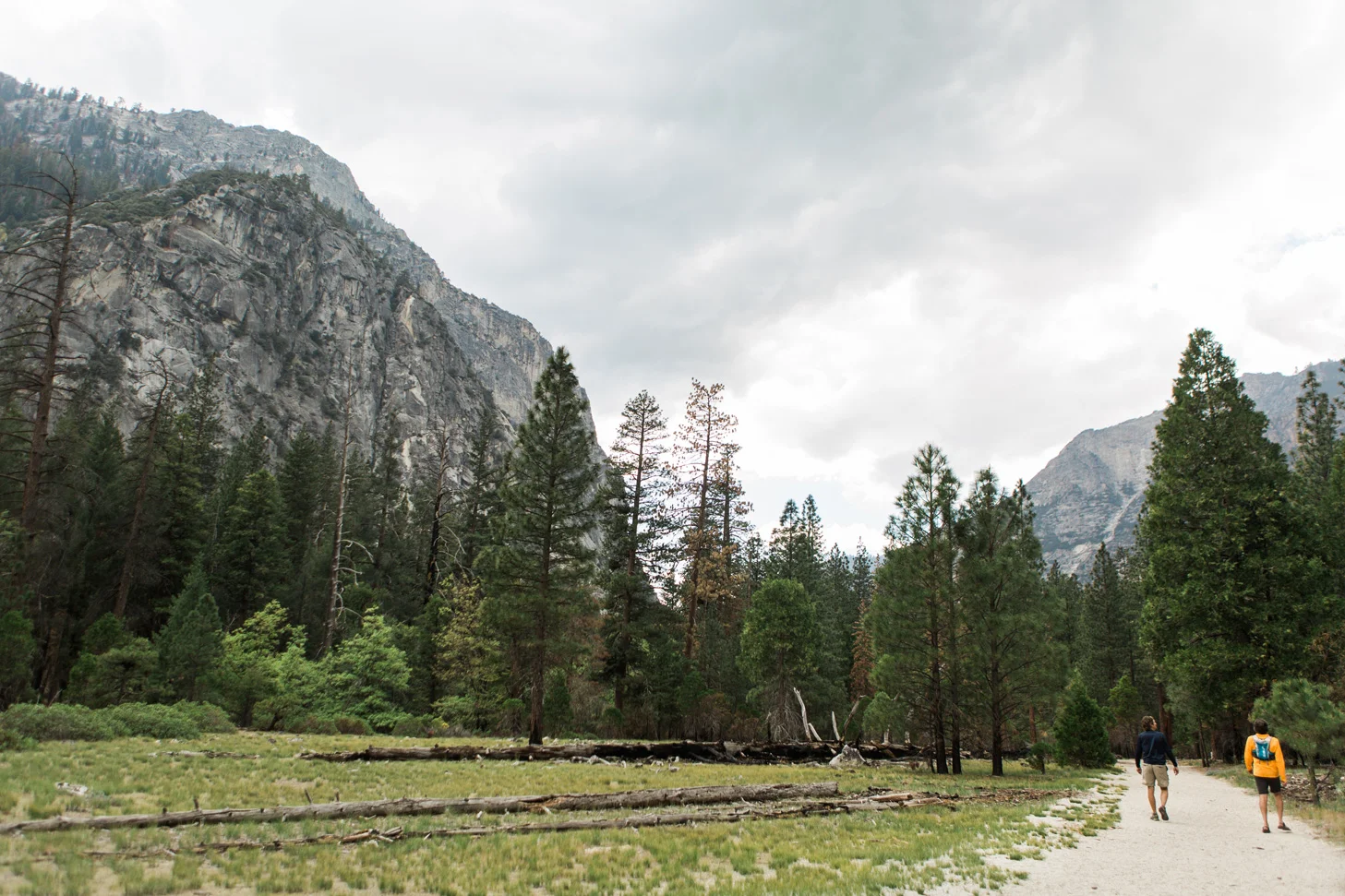 CindyGiovagnoli_Sequoia_KingsCanyon_National_Park_California_forest_fire-030.jpg