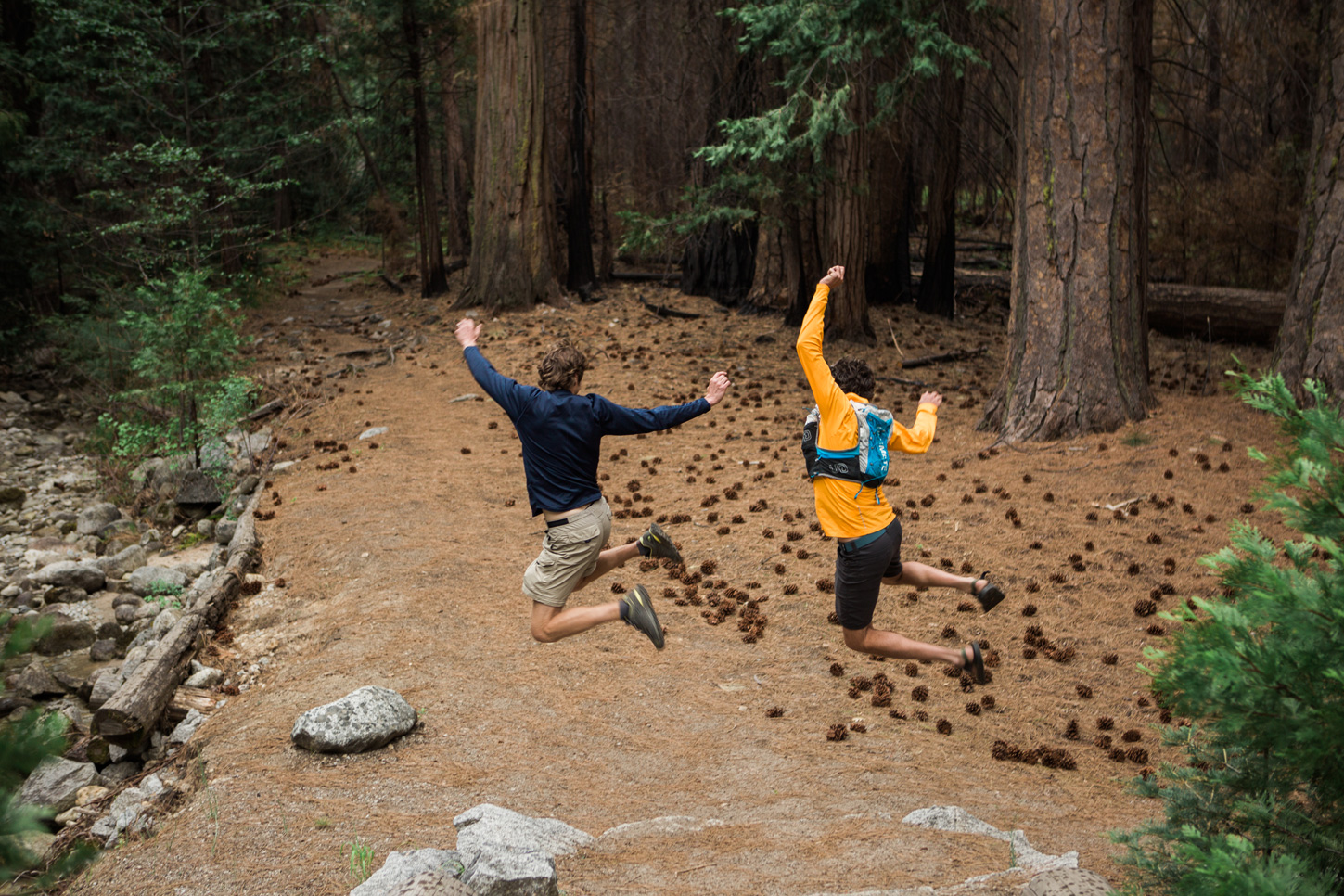 CindyGiovagnoli_Sequoia_KingsCanyon_National_Park_California_forest_fire-029.jpg