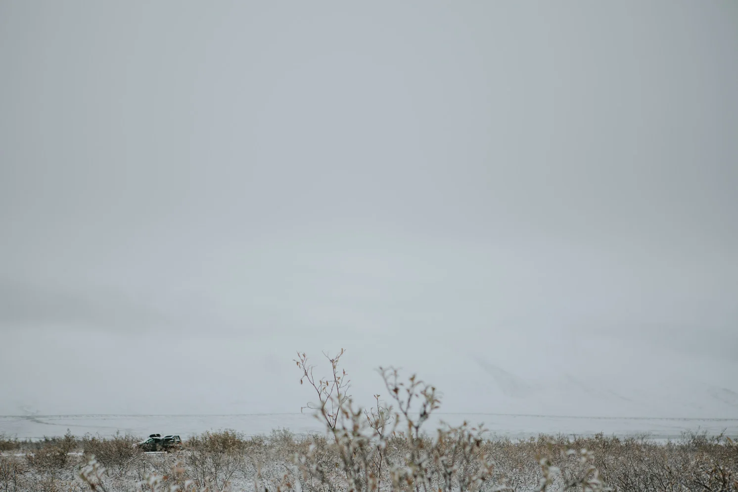 CindyGiovagnoli_Alaska_DaltonHighway_GalbraithLake_NorthSlope_GatesOfTheArctic_ArcticCircle_ArcticNationalWildlifeRefuge_Moose_DallSheep_snow_winter_BrooksRange-020.jpg