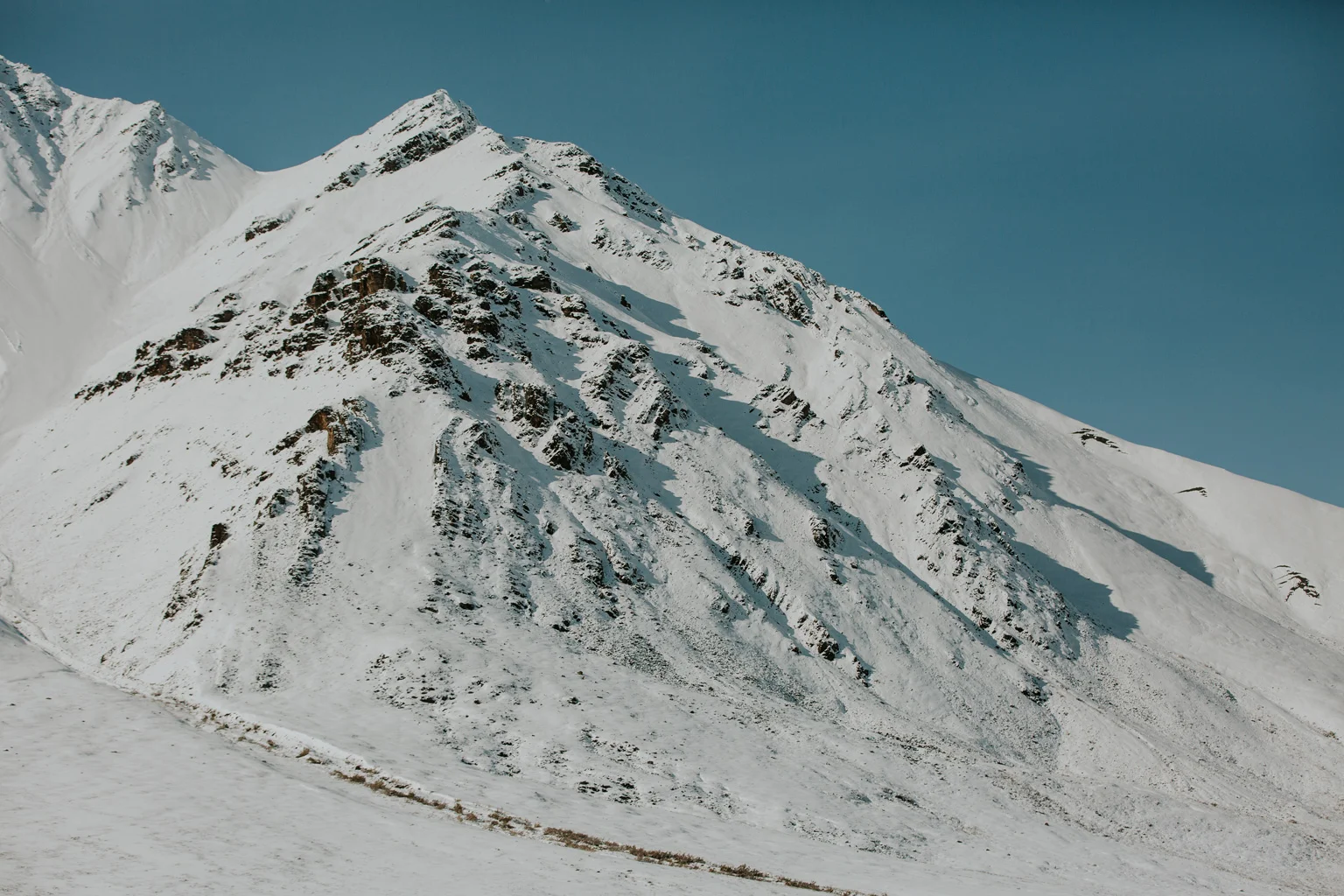 CindyGiovagnoli_Alaska_DaltonHighway_GalbraithLake_NorthSlope_GatesOfTheArctic_ArcticCircle_ArcticNationalWildlifeRefuge_Moose_DallSheep_snow_winter_BrooksRange-034.jpg